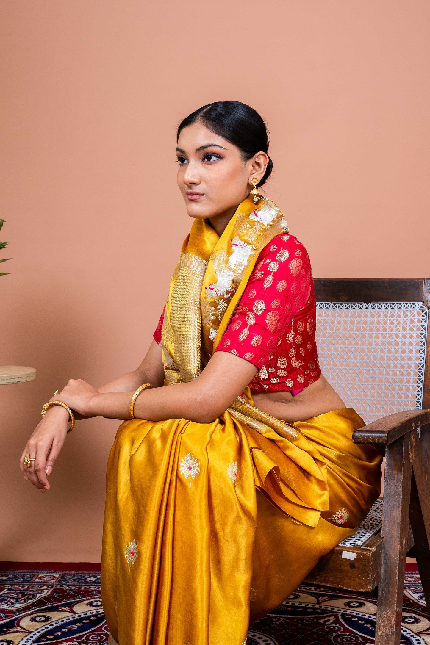 Nandi Handwoven Banaras Saree