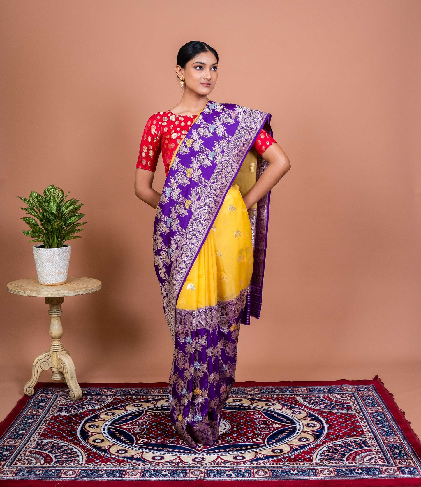 Kora Kataan Jaal Handwoven Banaras Saree