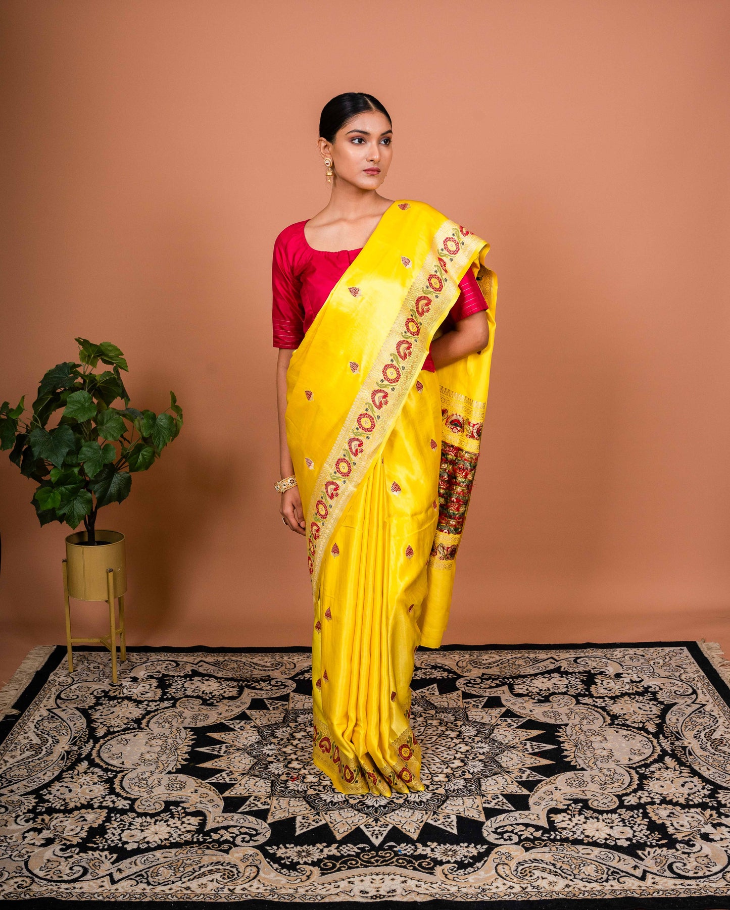 Ashawali Border Handwoven Banaras Saree