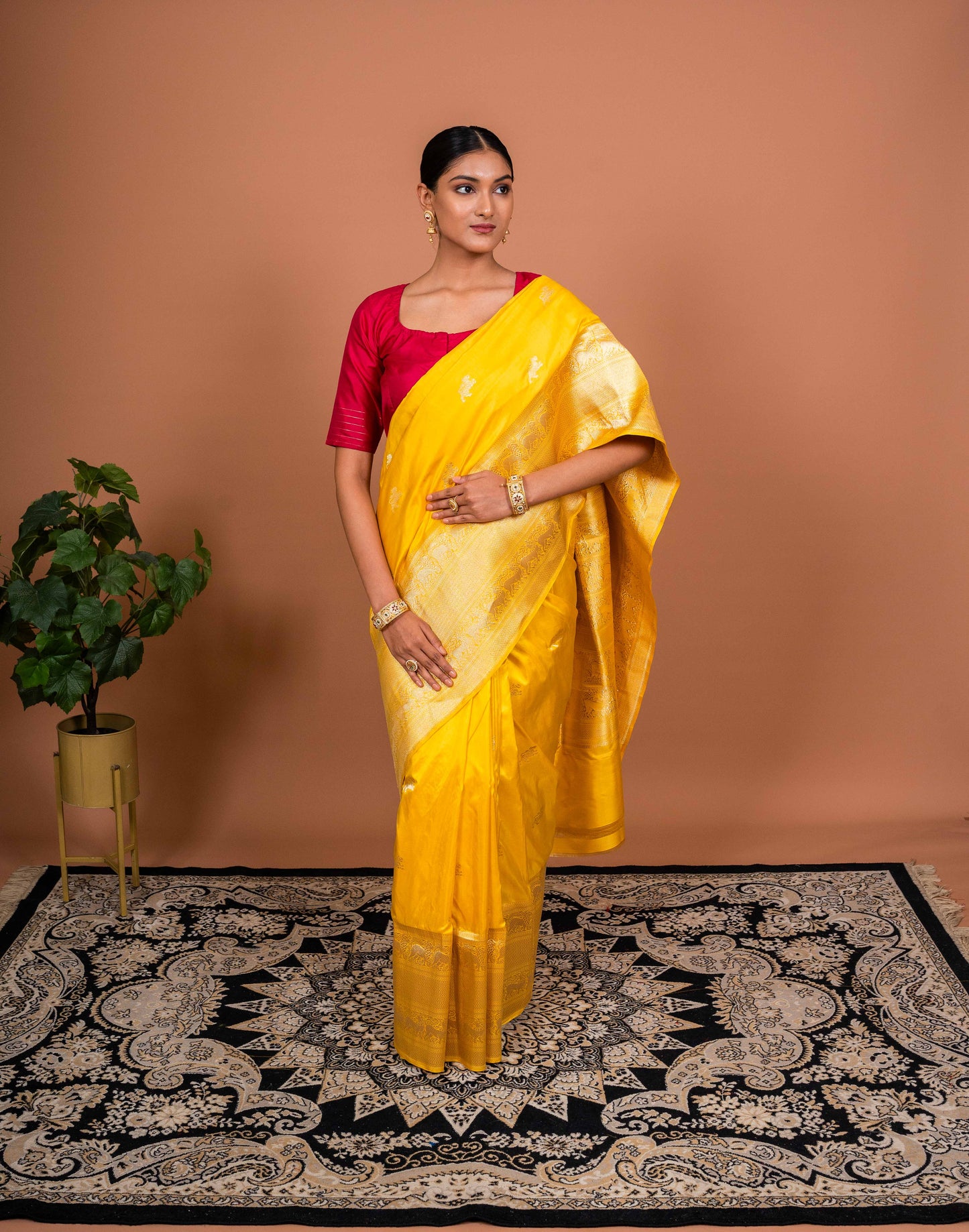 Kadhiyal Handwoven Banaras Saree
