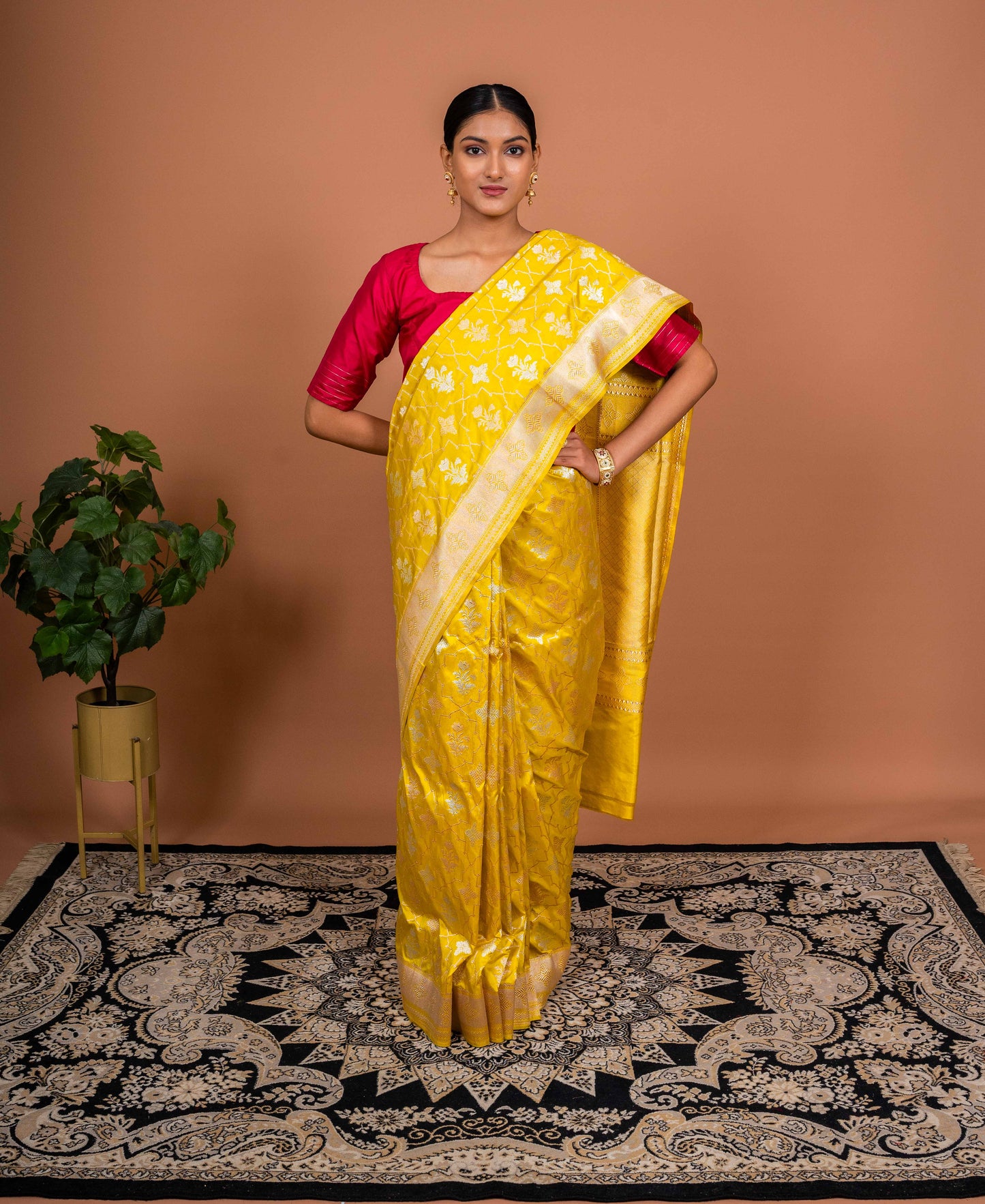 Taara Jaal Handwoven Banaras Saree