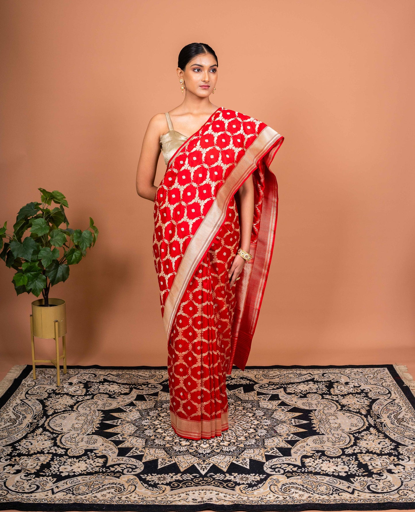 Charulata Handwoven Banaras Saree