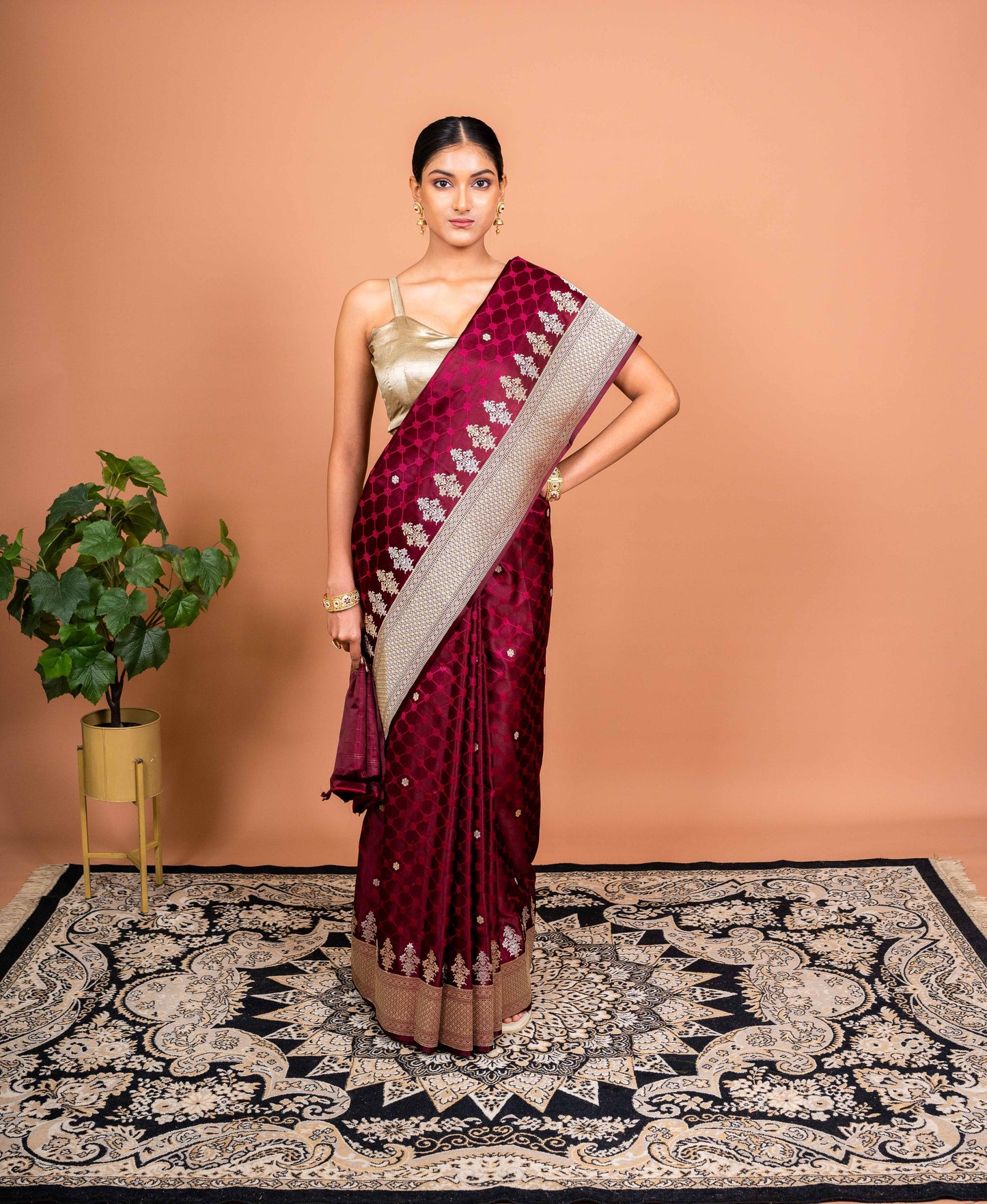 Naaz Handwoven Banaras Saree