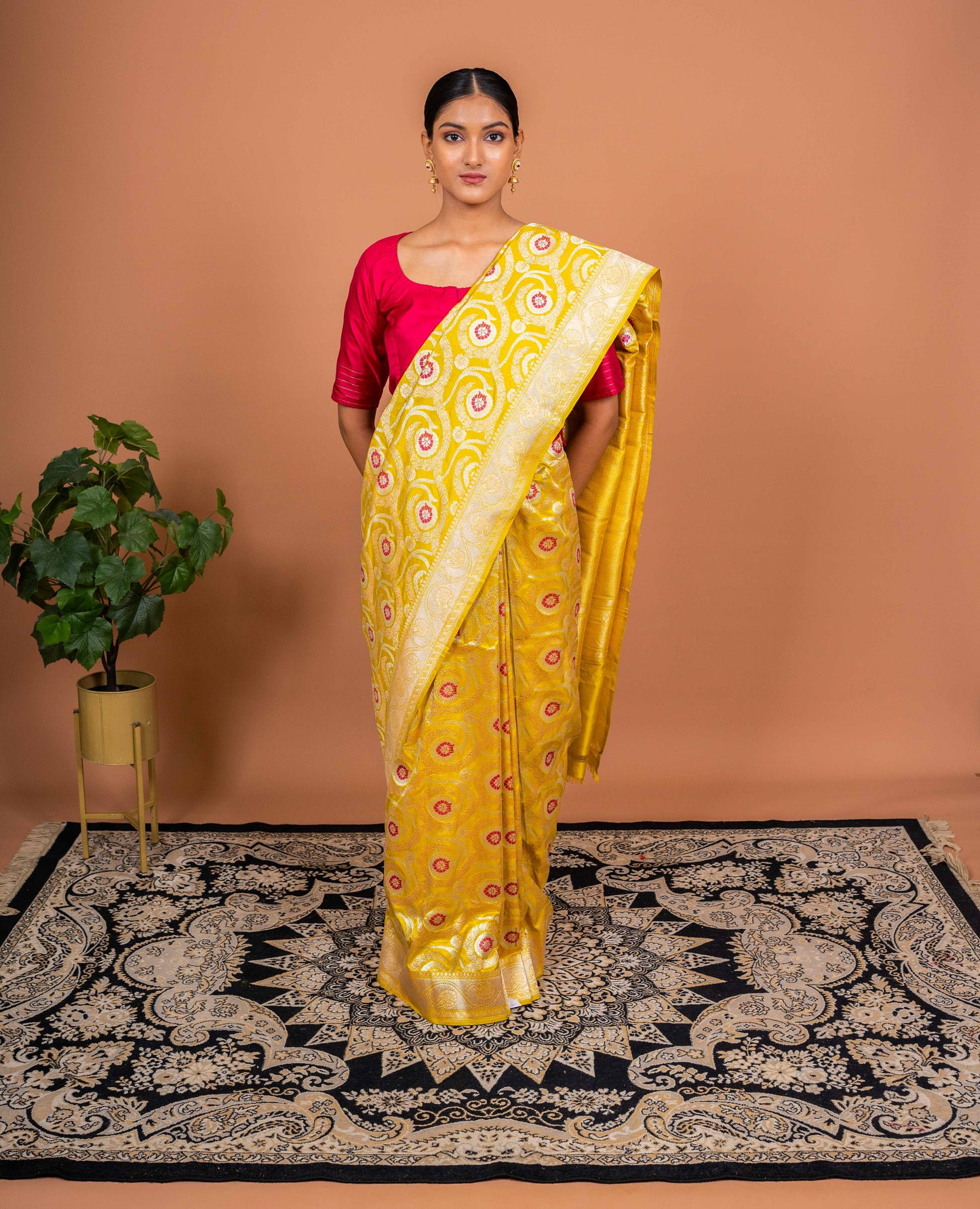 Kaner Jaal Handwoven Banaras Saree