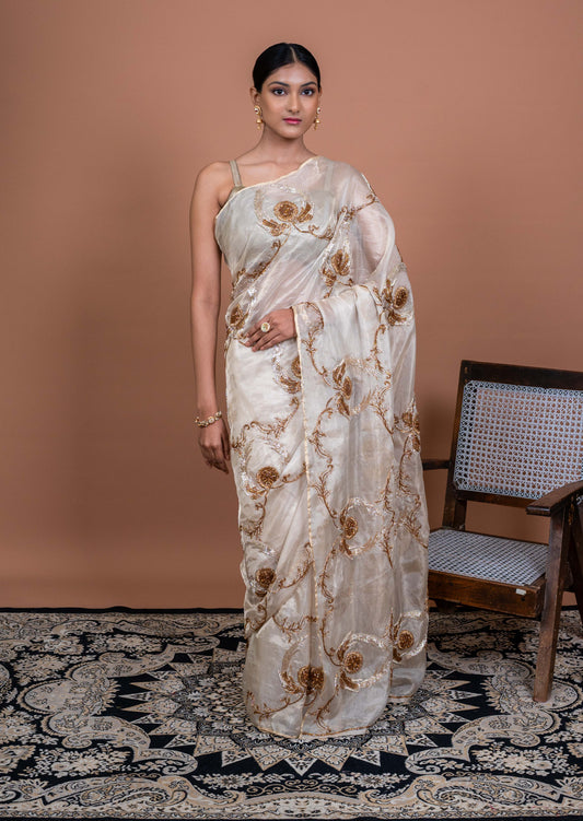 Revati Handwoven Banaras Saree