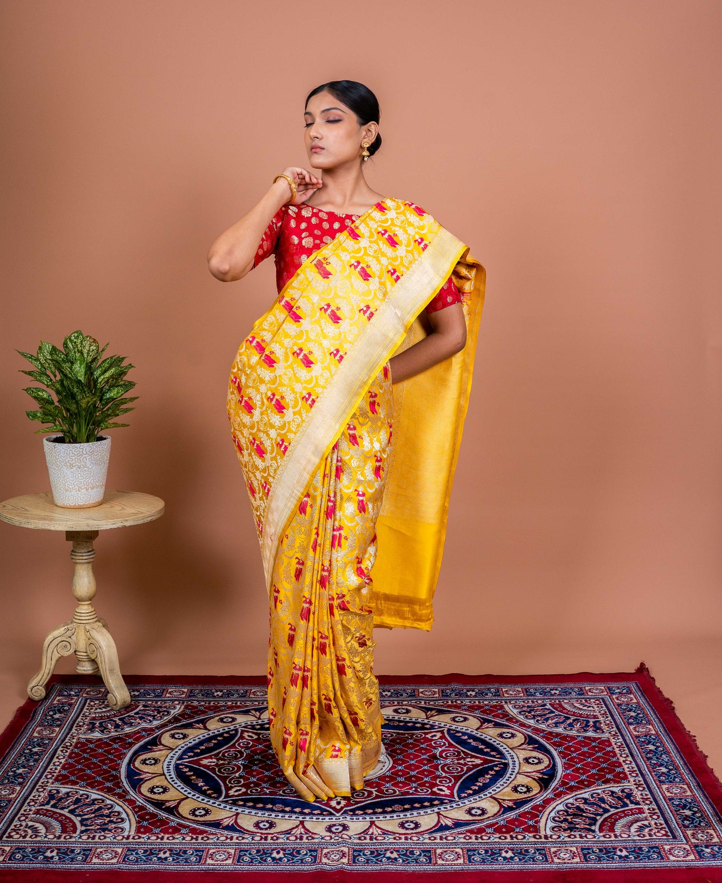 Apsara Bagh Handwoven Banaras Saree