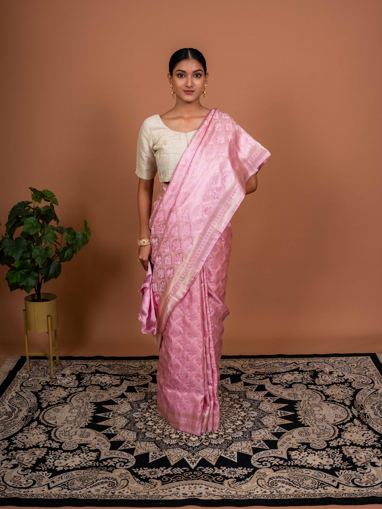 Bagh Tanchhoi Handwoven Banaras Saree