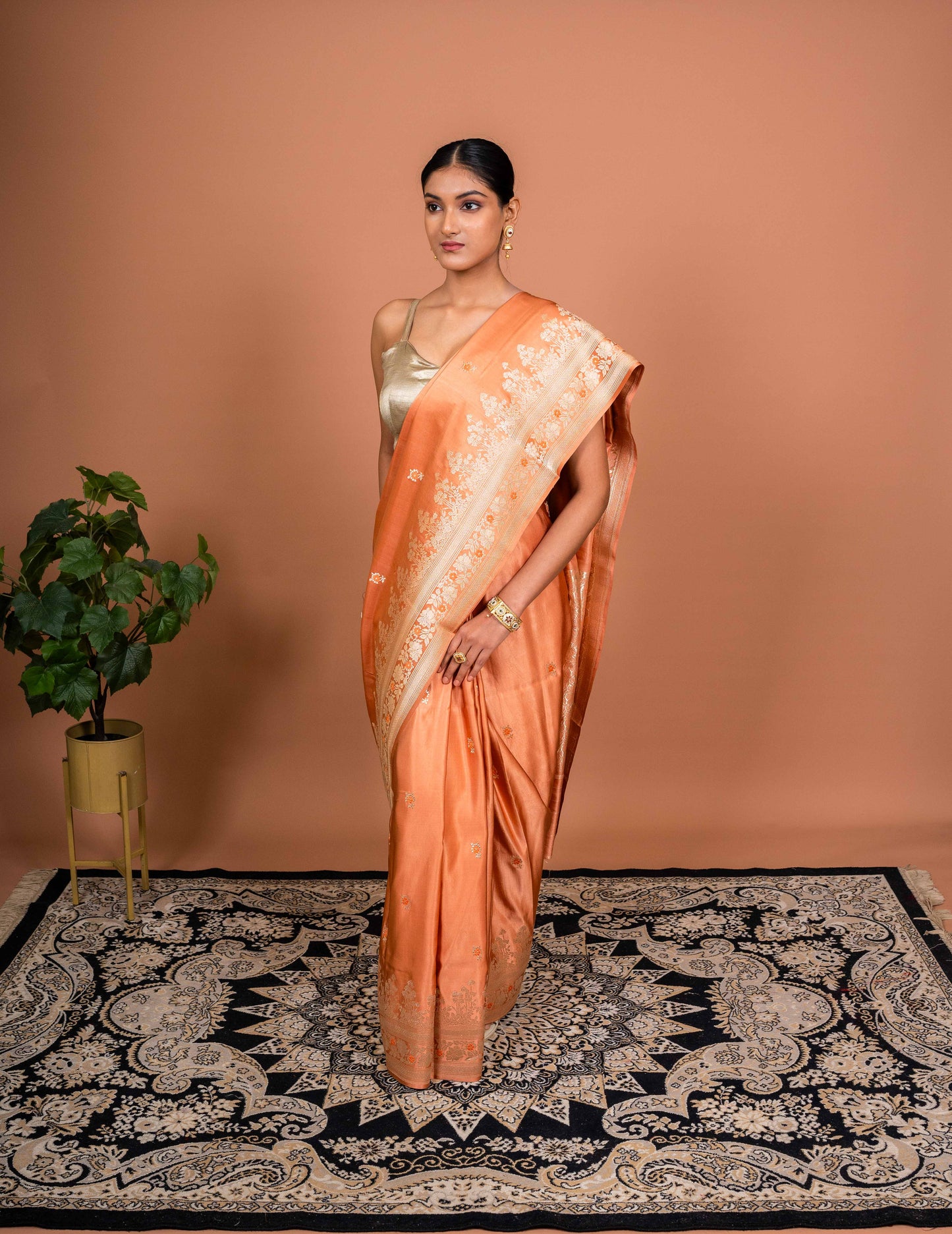 Kaner Border Handwoven Banaras Saree