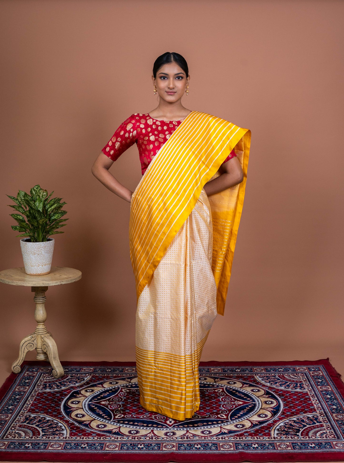 Dot and Stripes Handwoven Banaras Saree