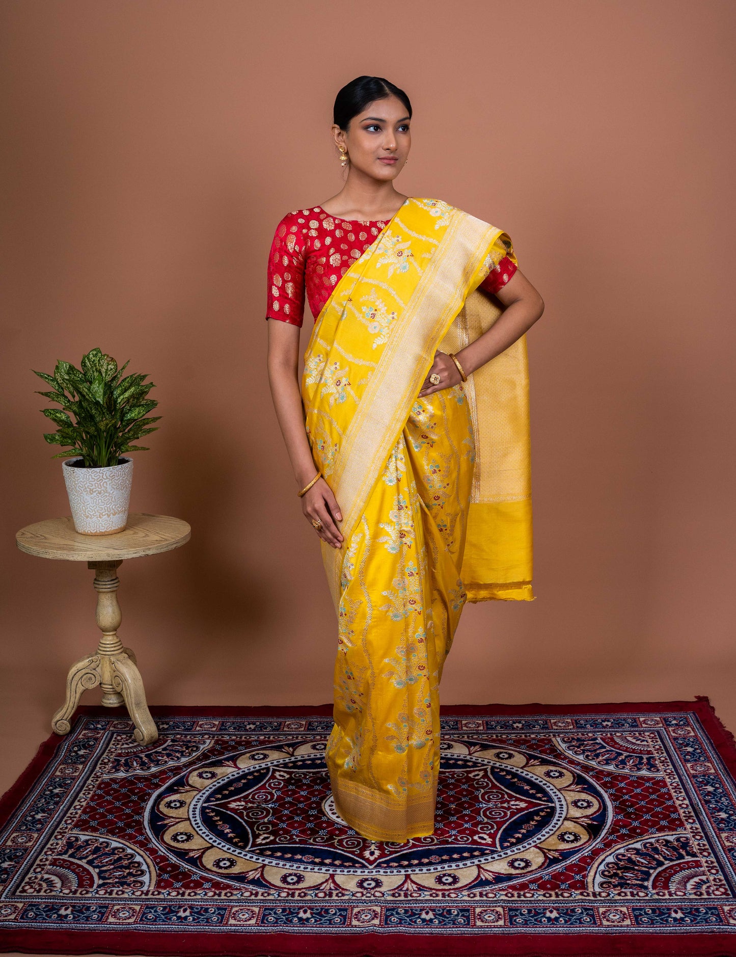 Tanzeb Handwoven Banaras Saree