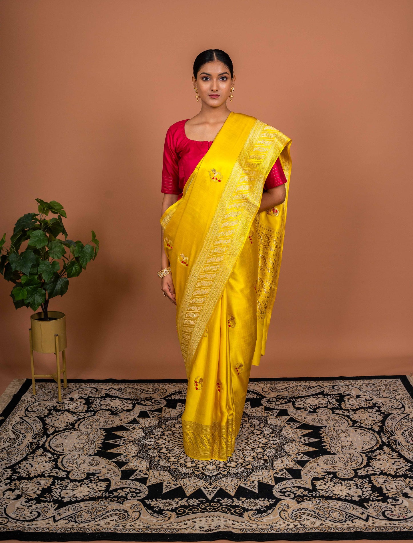 Kingfisher Handwoven Banaras Saree