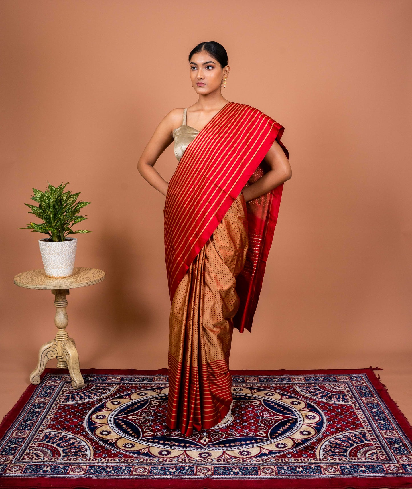Dot and Stripes Handwoven Banaras Saree