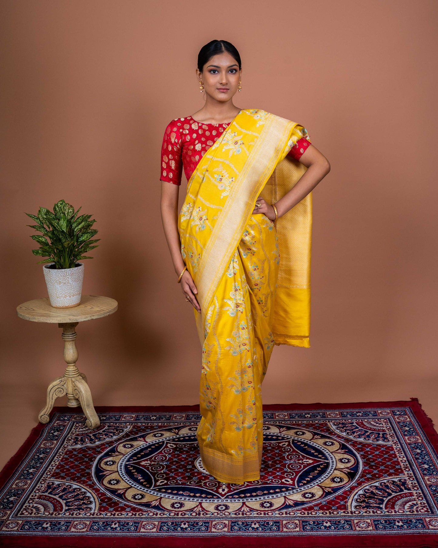 Tanzeb Handwoven Banaras Saree
