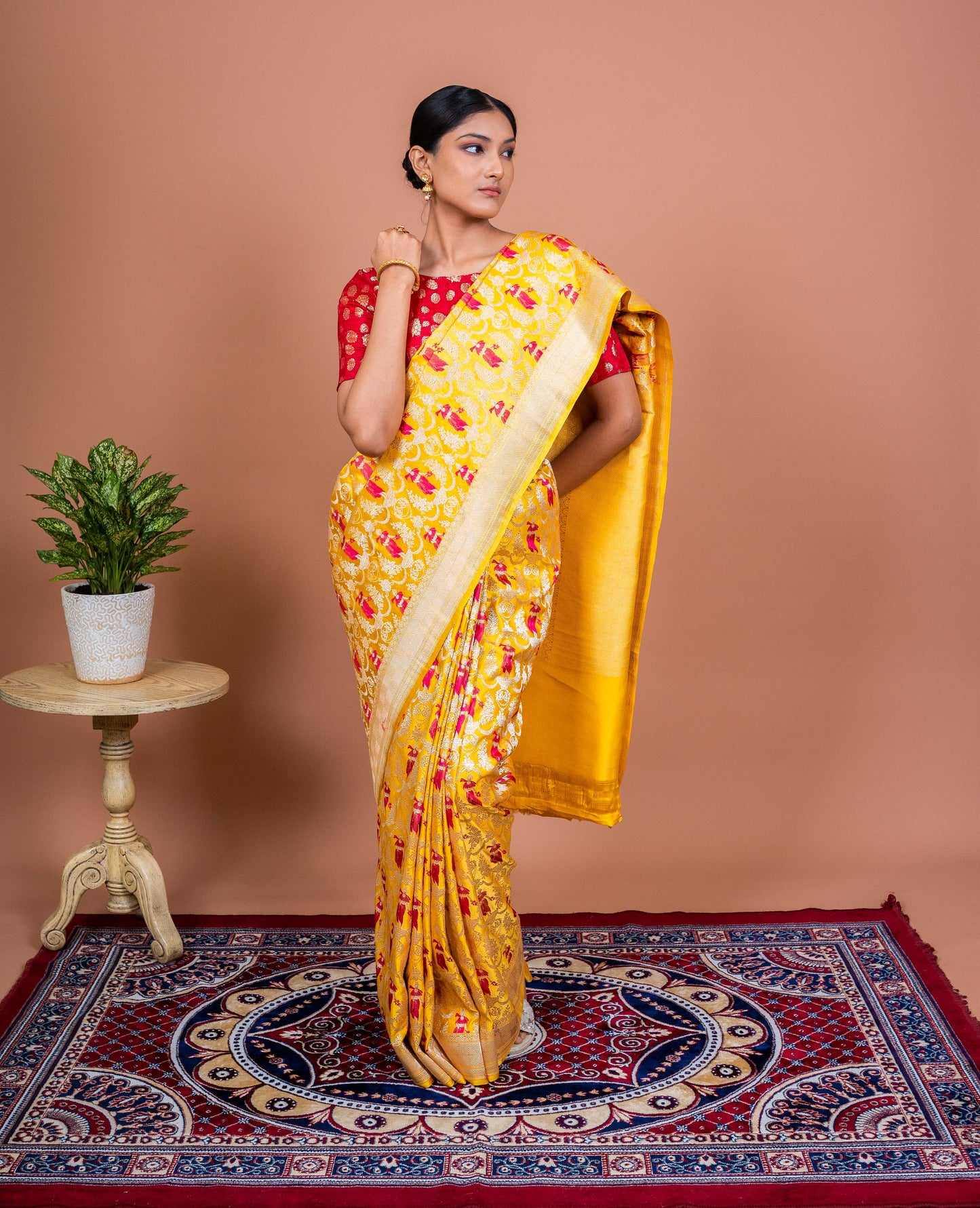 Apsara Bagh Handwoven Banaras Saree