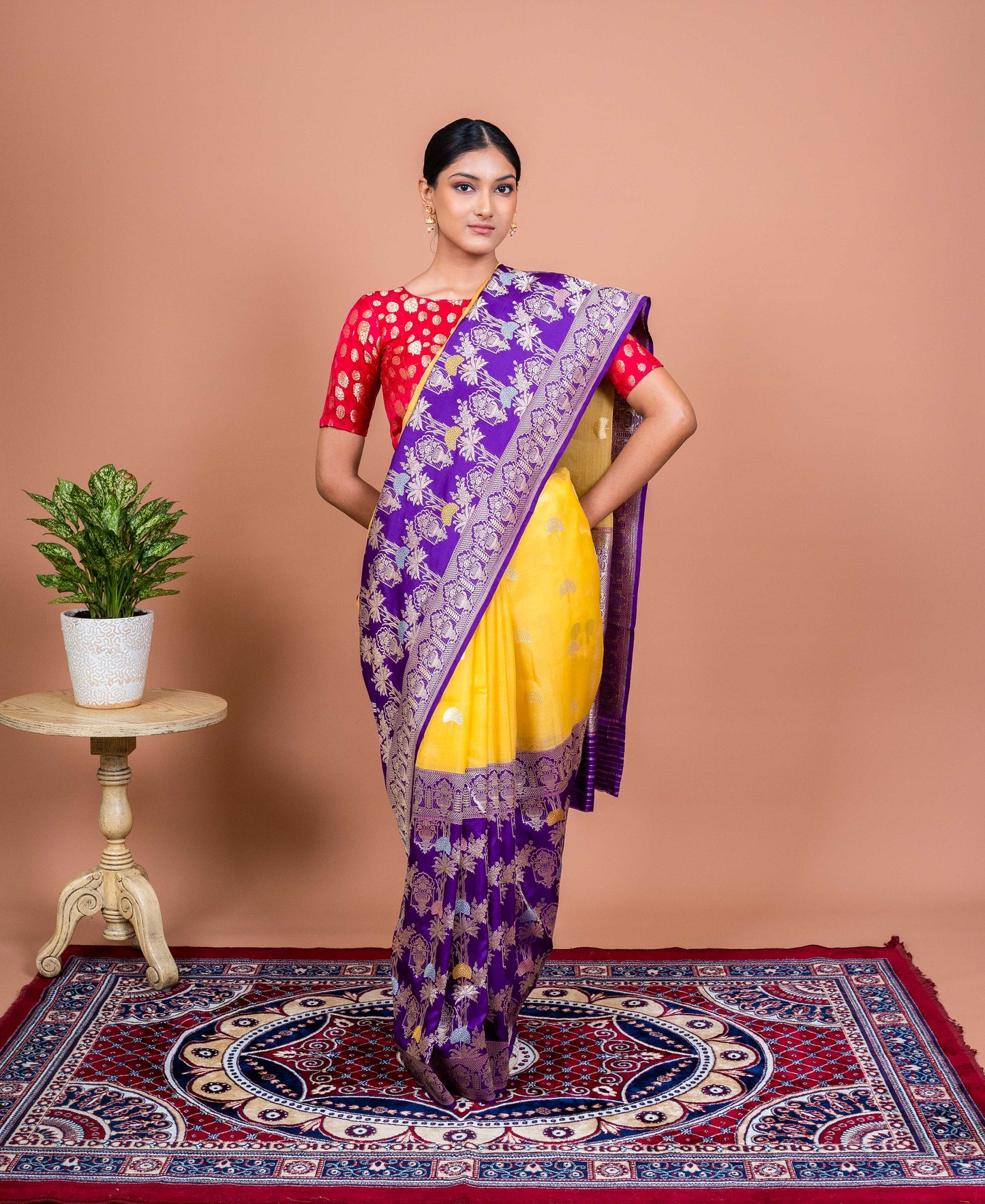 Kora Kataan Jaal Handwoven Banaras Saree