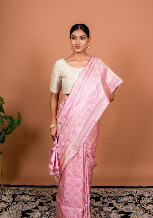 Bagh Tanchhoi Handwoven Banaras Saree