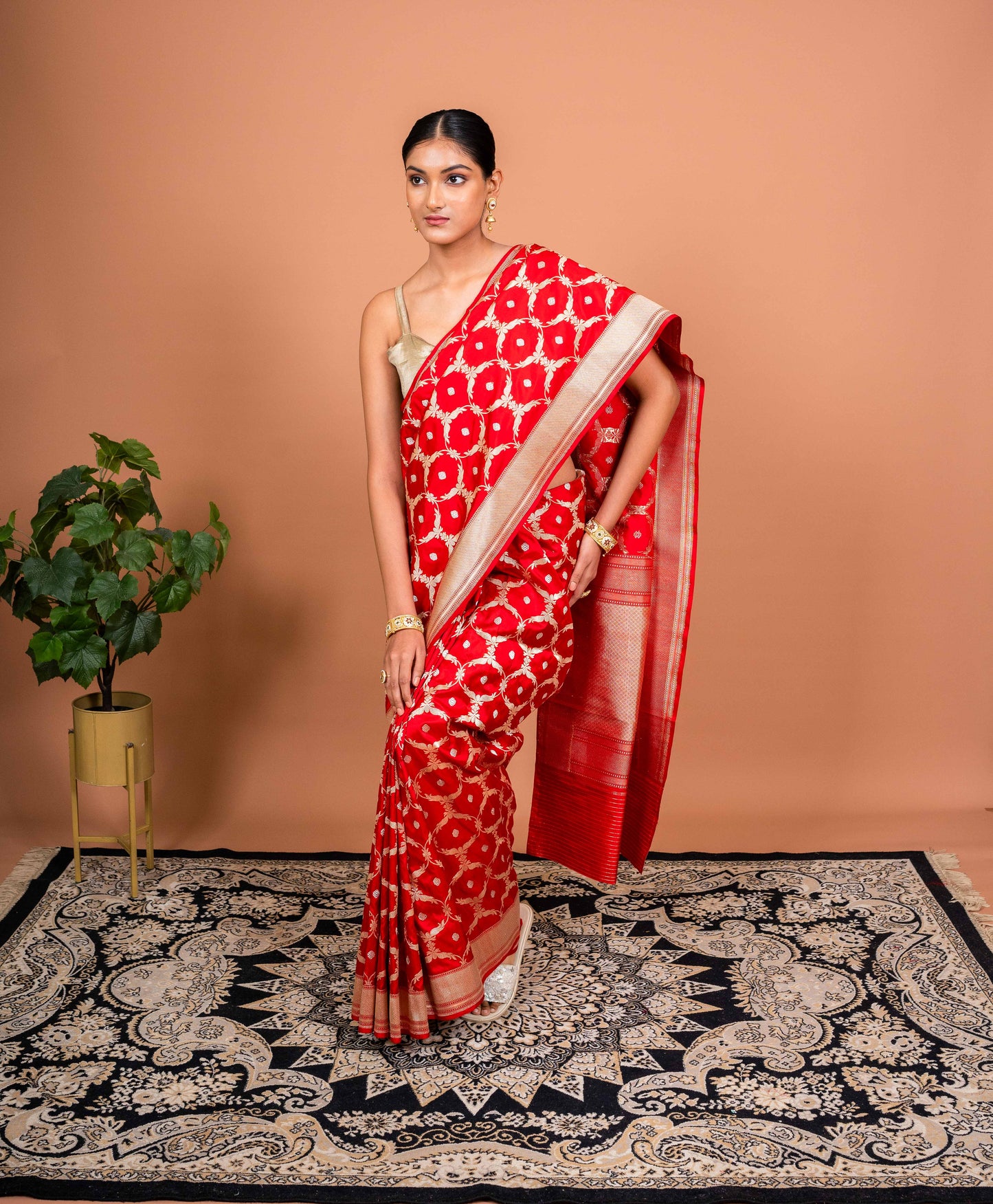 Charulata Handwoven Banaras Saree