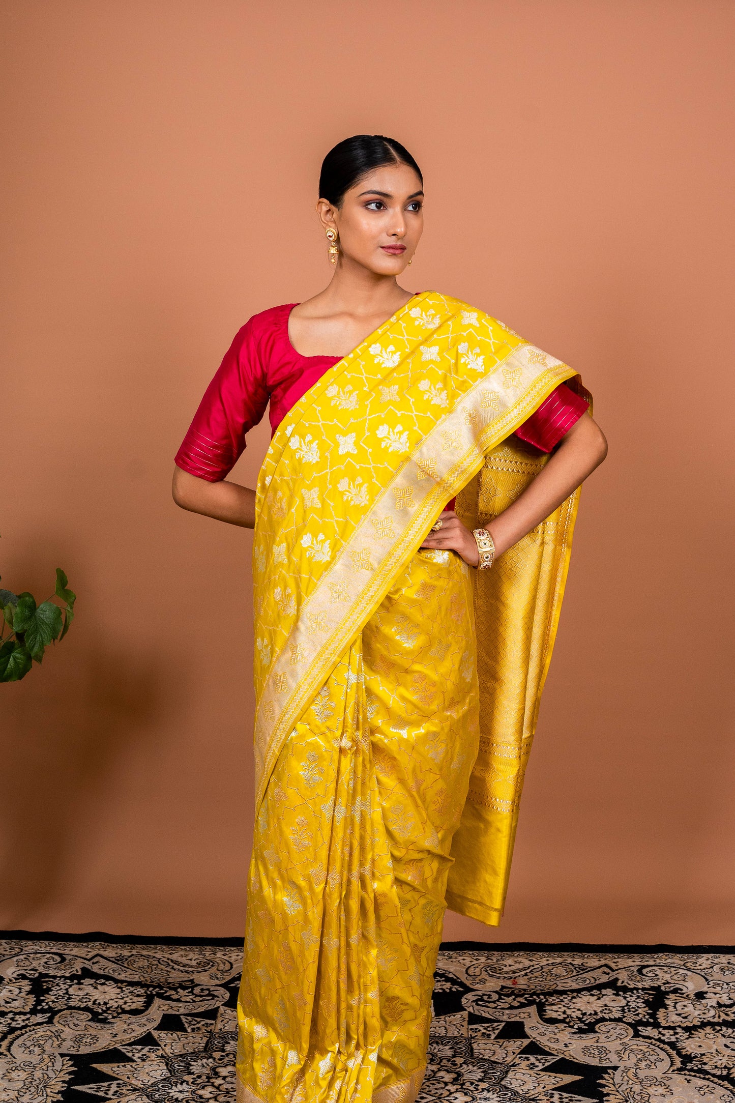 Taara Jaal Handwoven Banaras Saree