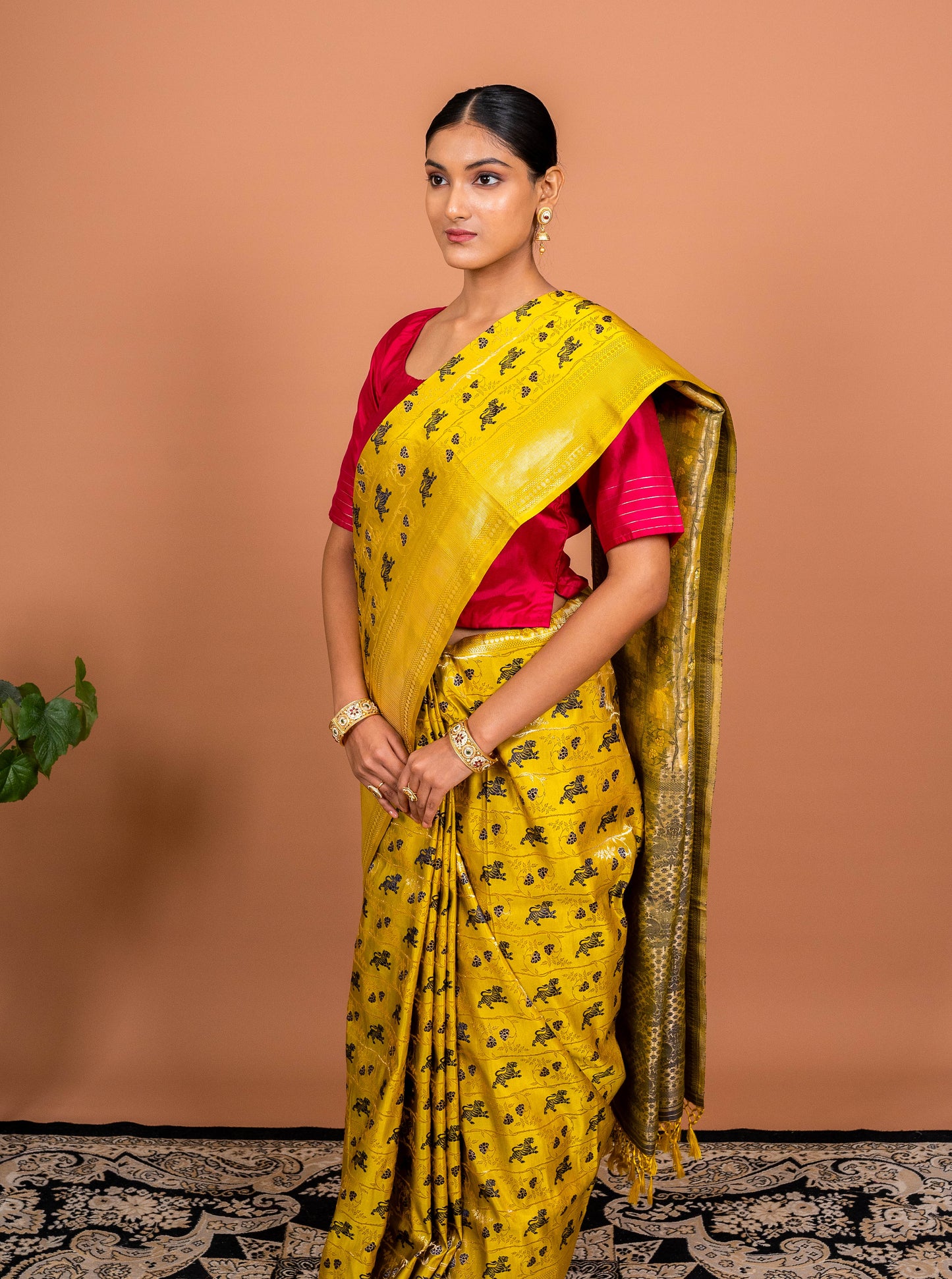 Shikagah Tanchhoi Handwoven Banaras Saree