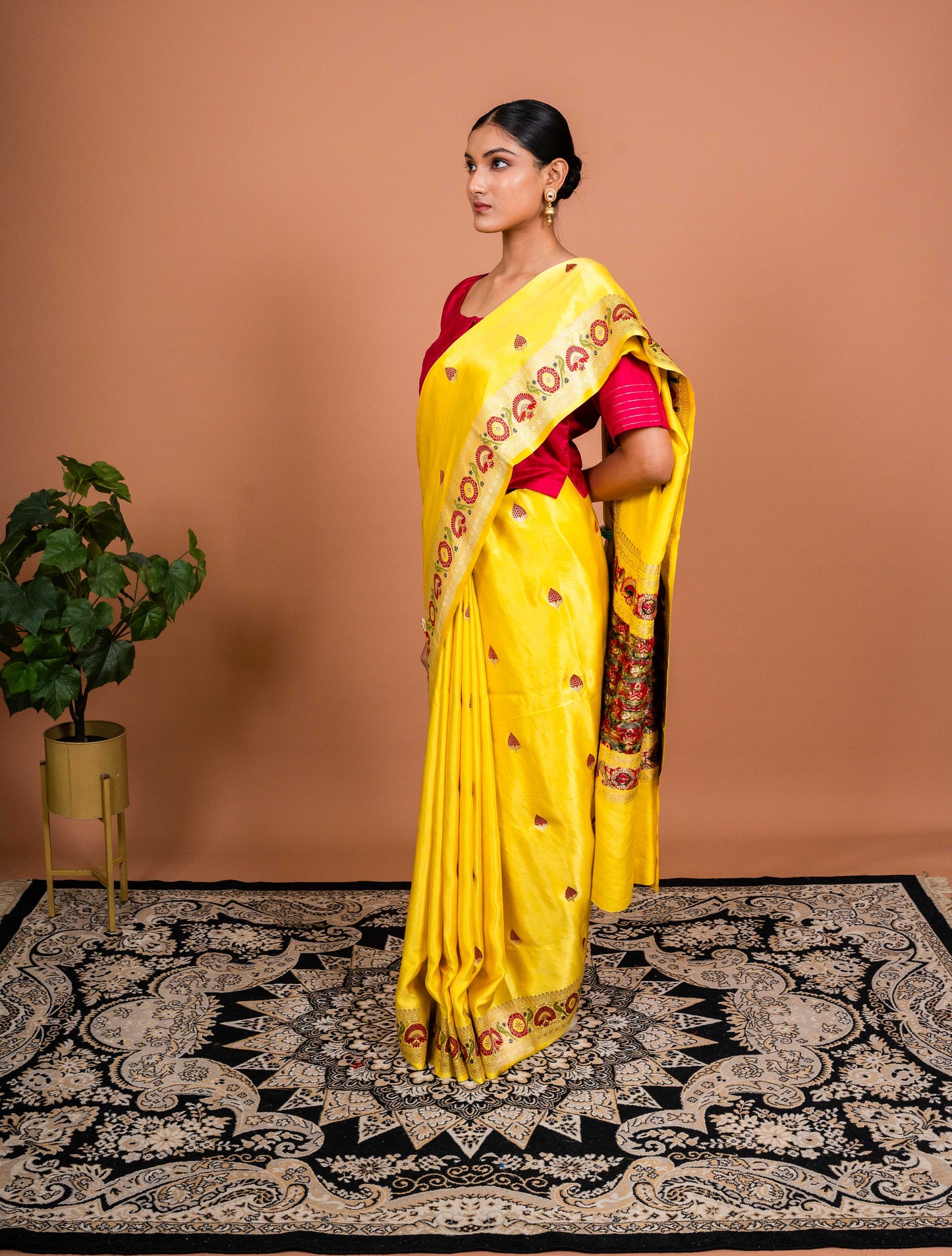 Ashawali Border Handwoven Banaras Saree