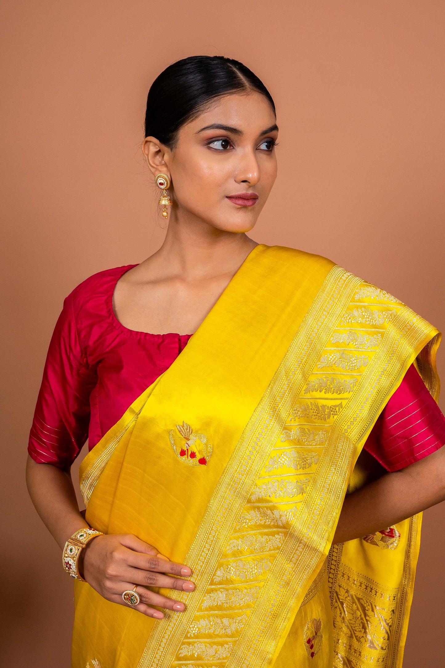 Kingfisher Handwoven Banaras Saree