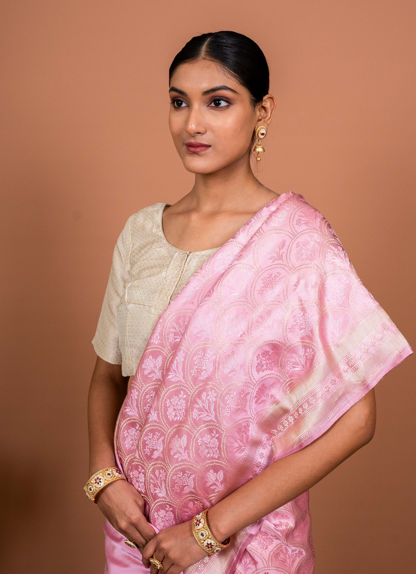 Bagh Tanchhoi Handwoven Banaras Saree