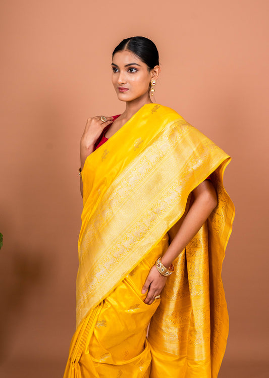 Kadhiyal Handwoven Banaras Saree