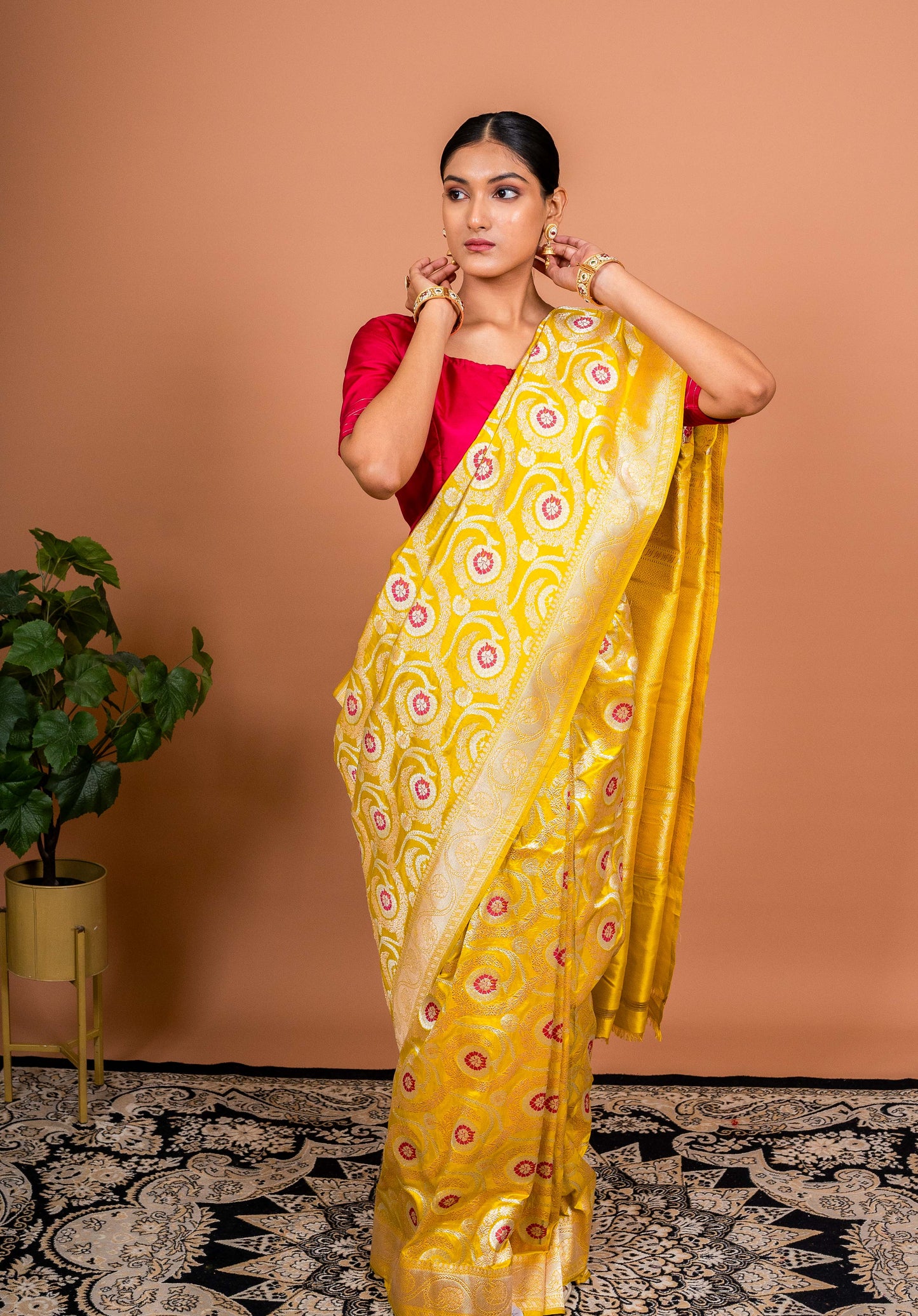 Kaner Jaal Handwoven Banaras Saree