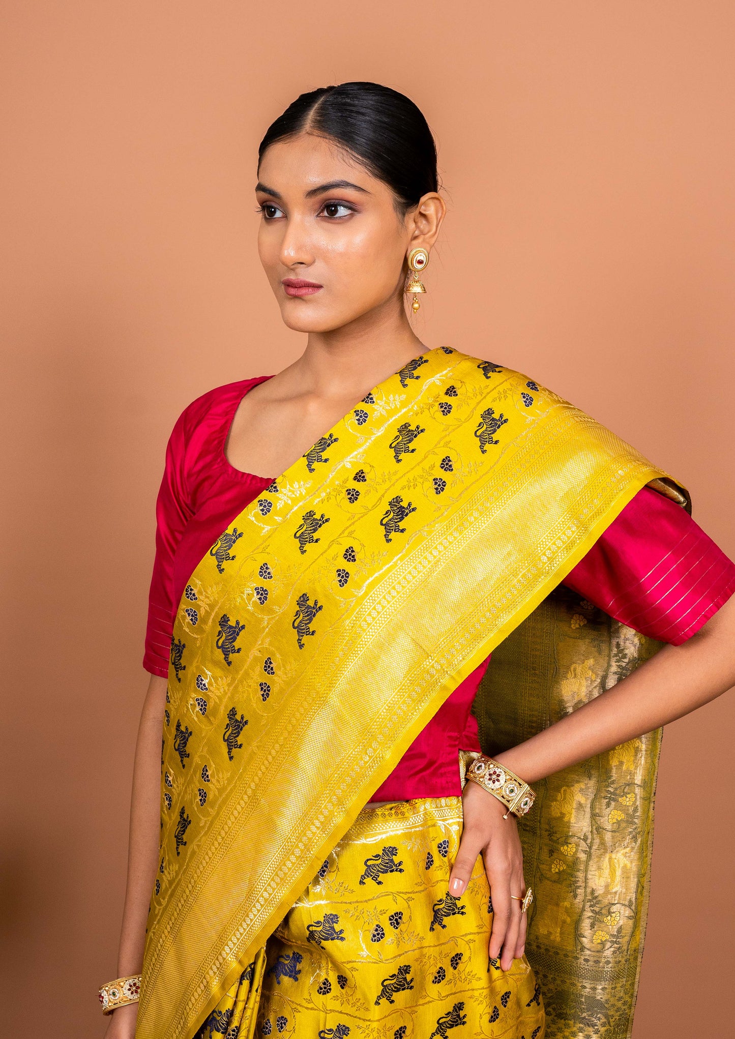 Shikagah Tanchhoi Handwoven Banaras Saree