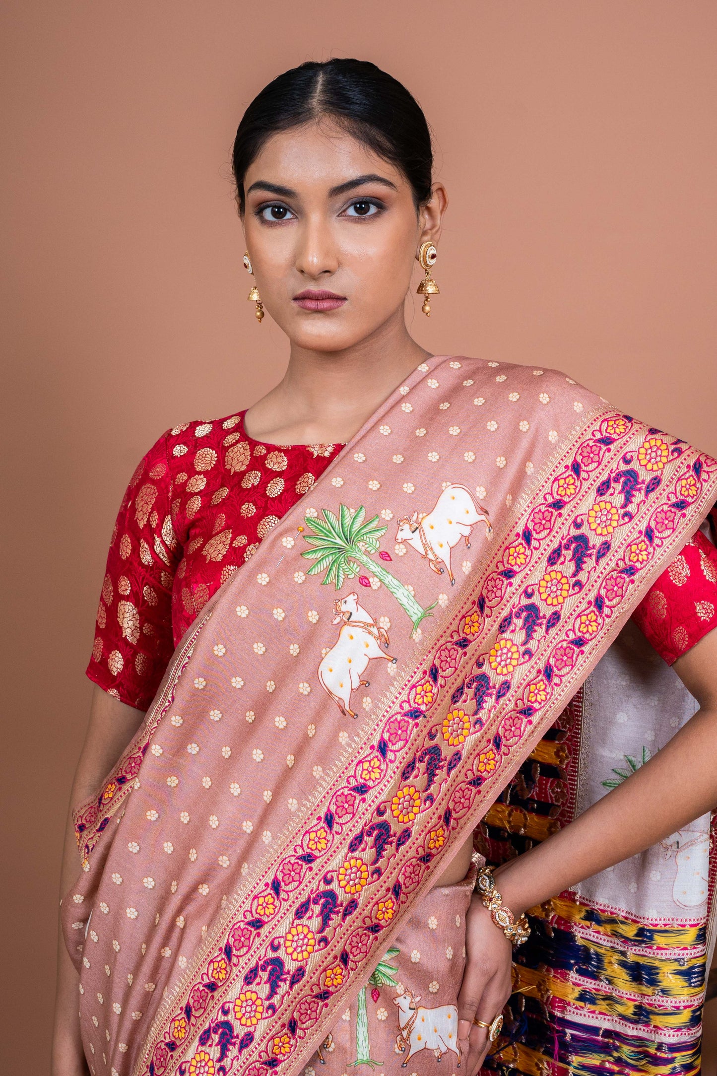 Ashanandi Handwoven Banaras Saree