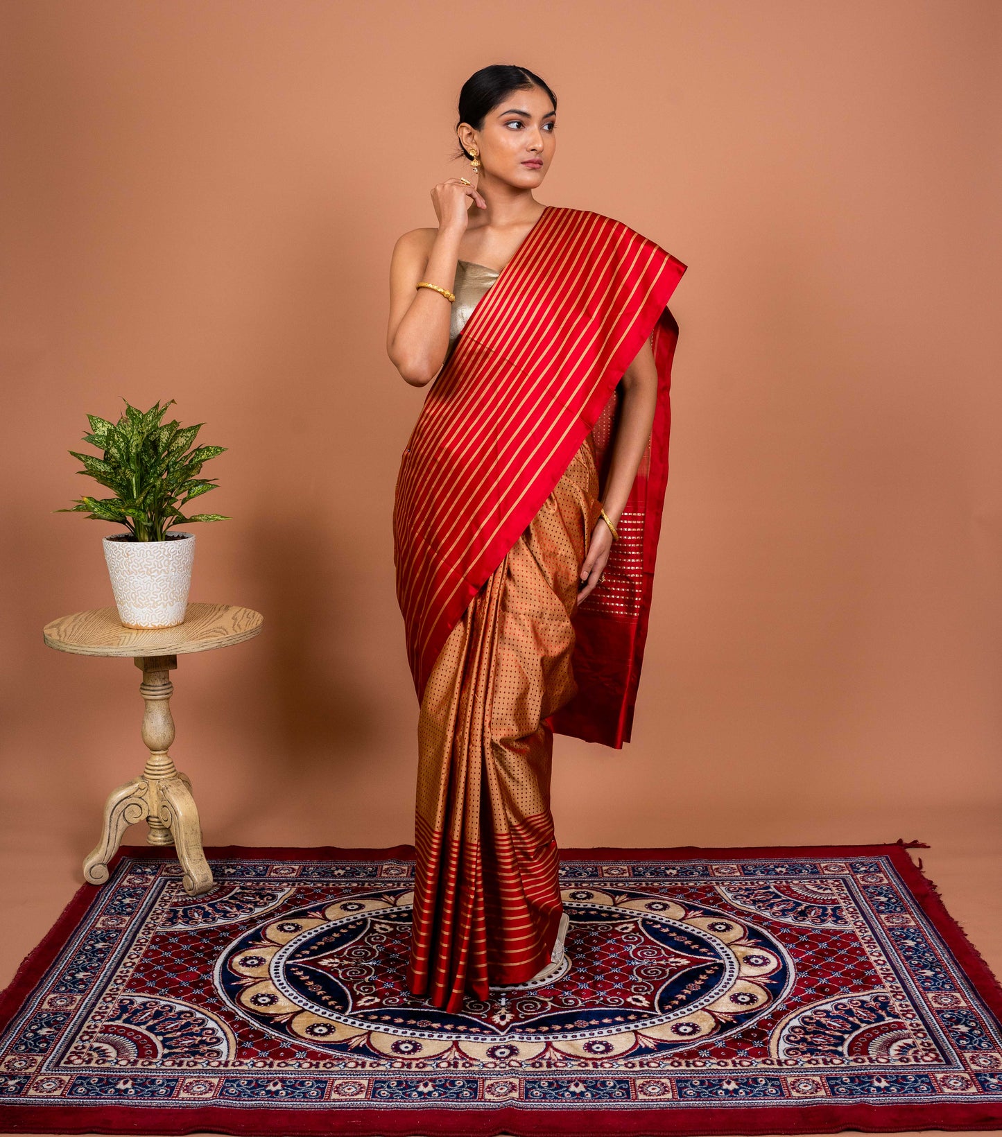 Dot and Stripes Handwoven Banaras Saree