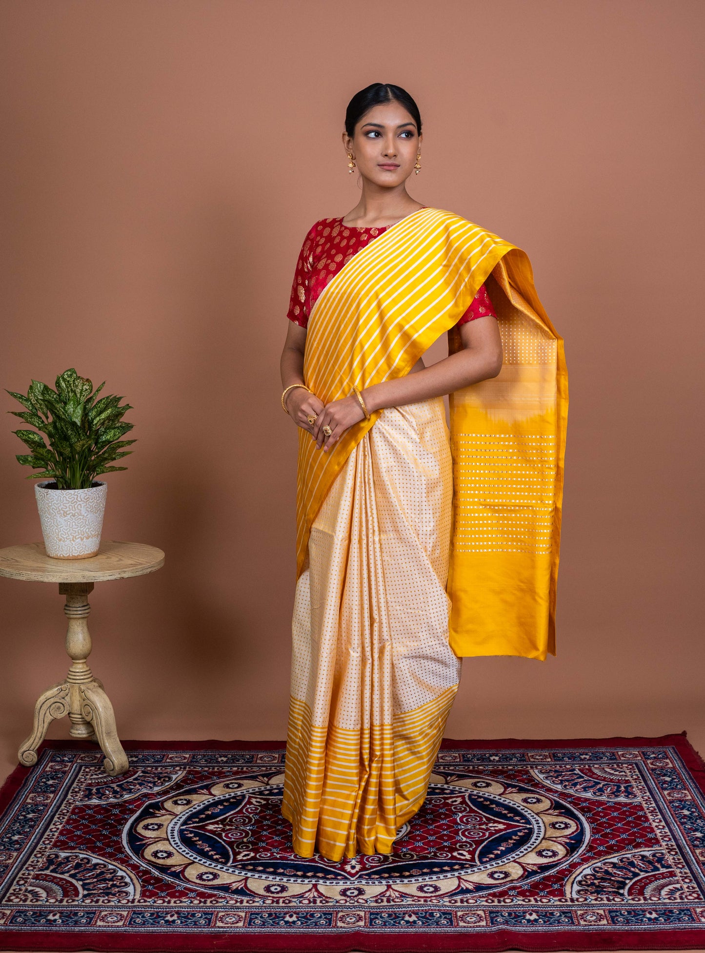 Dot and Stripes Handwoven Banaras Saree
