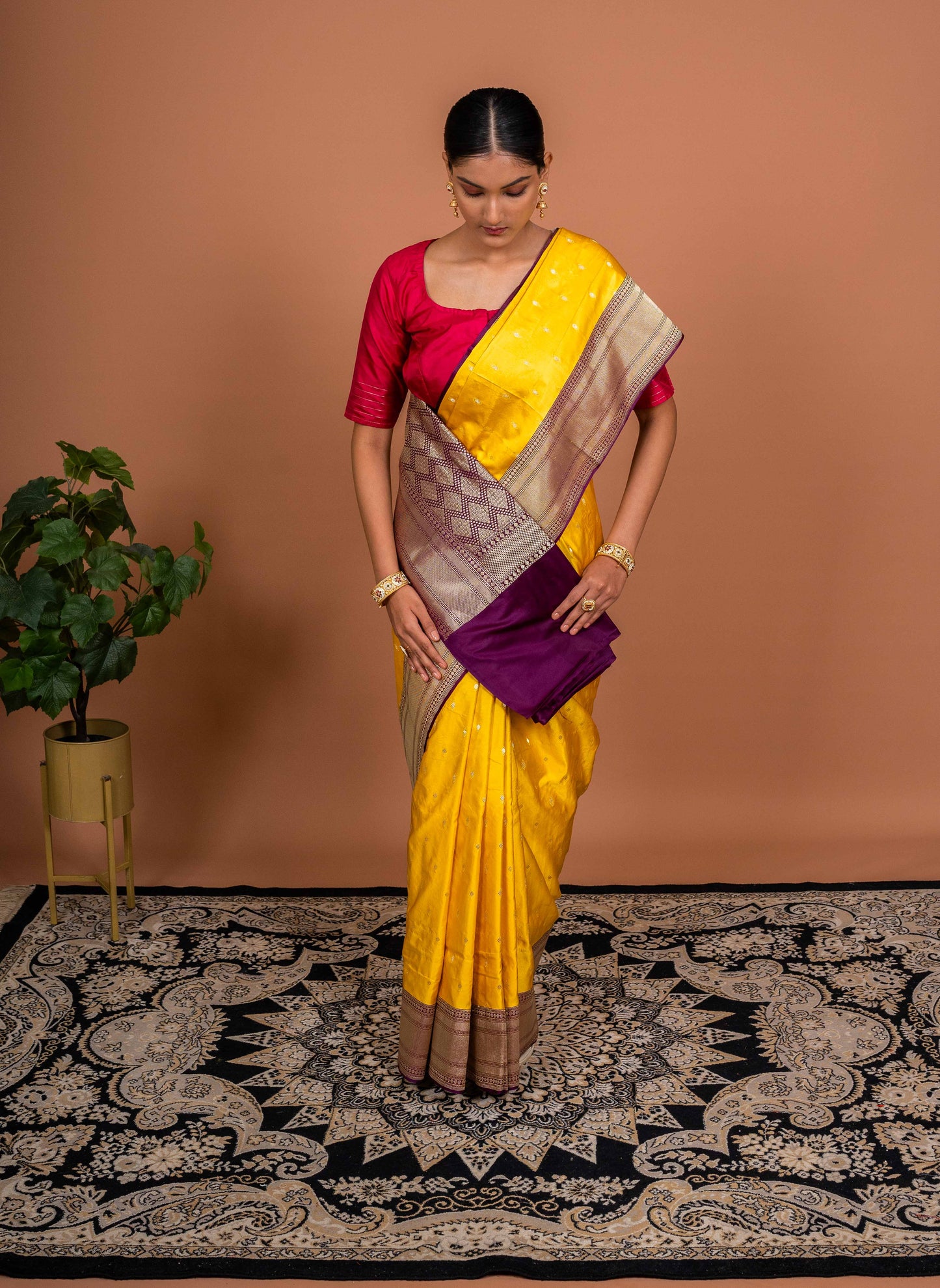 Kadhiyal Handwoven Banaras Saree