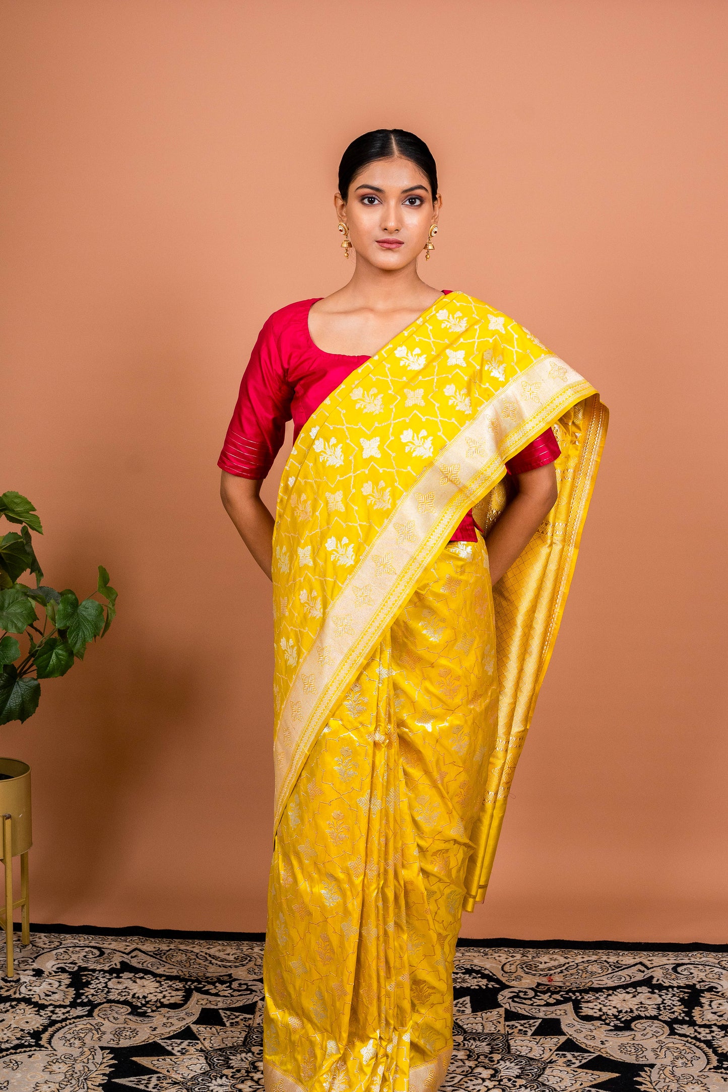 Taara Jaal Handwoven Banaras Saree