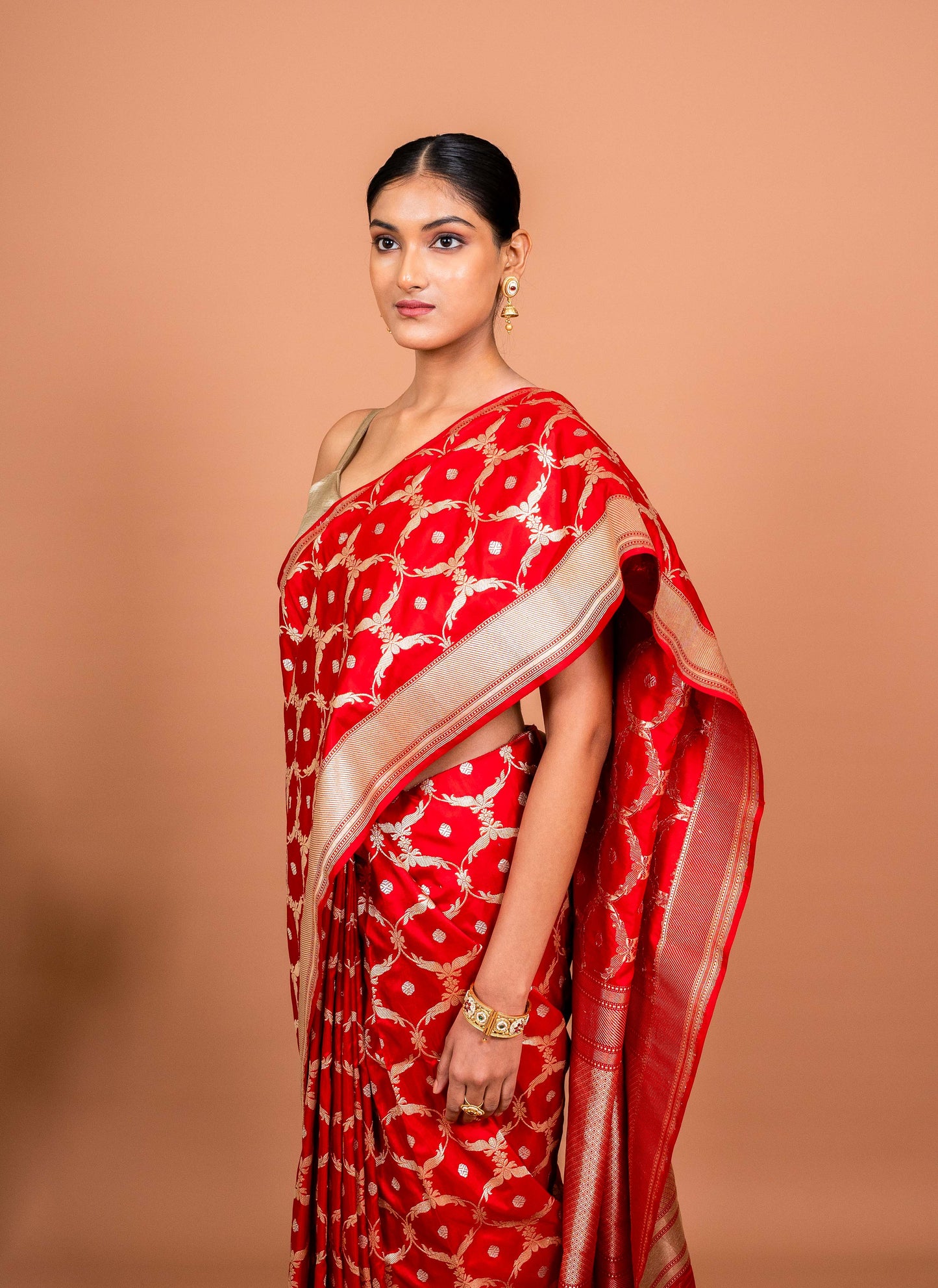 Charulata Handwoven Banaras Saree