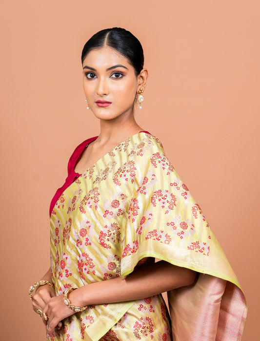 Tilfi Meenekar Handwoven Banaras Saree