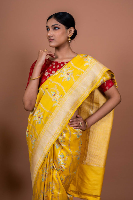 Tanzeb Handwoven Banaras Saree