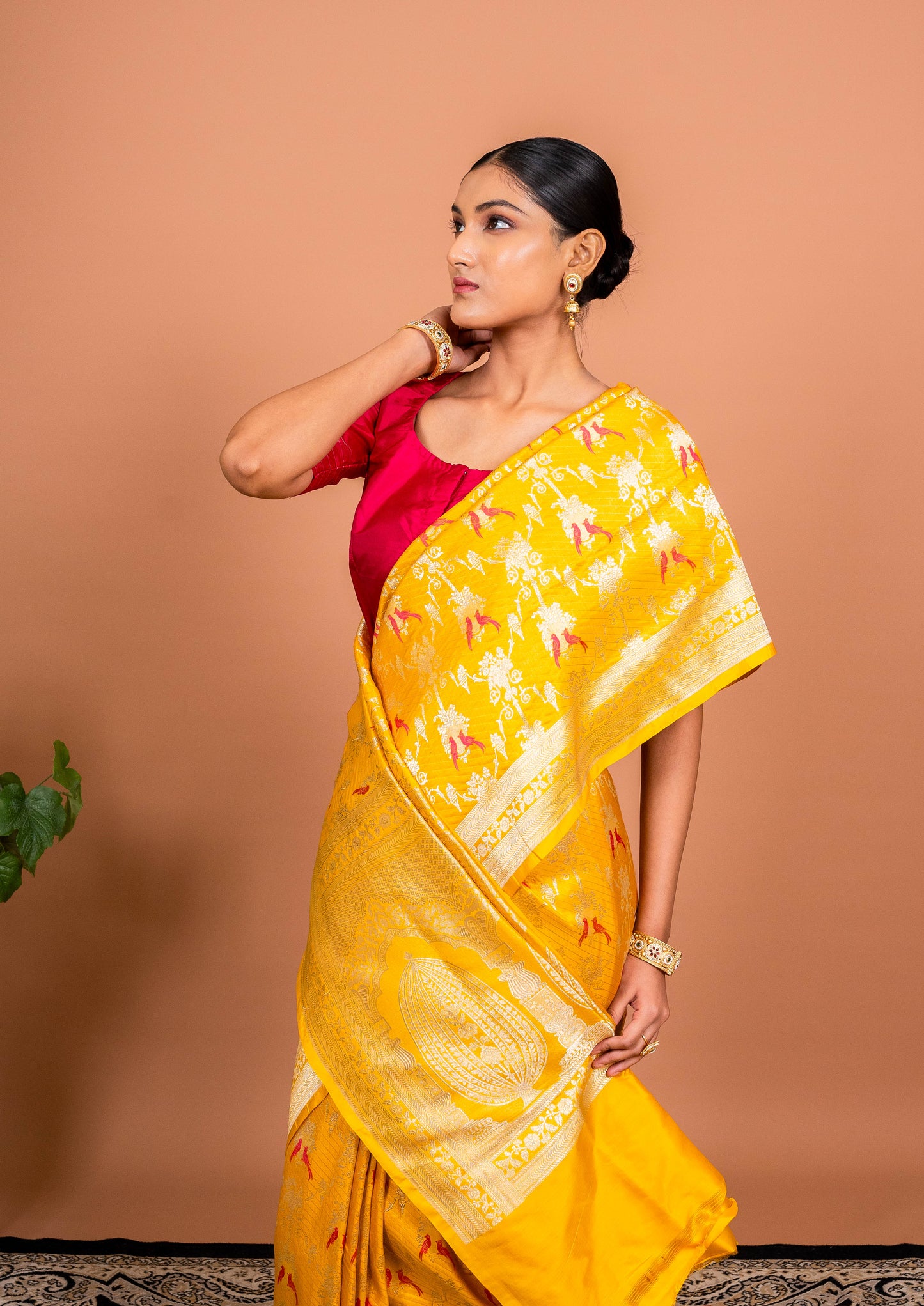 Gul Handwoven Banaras Saree