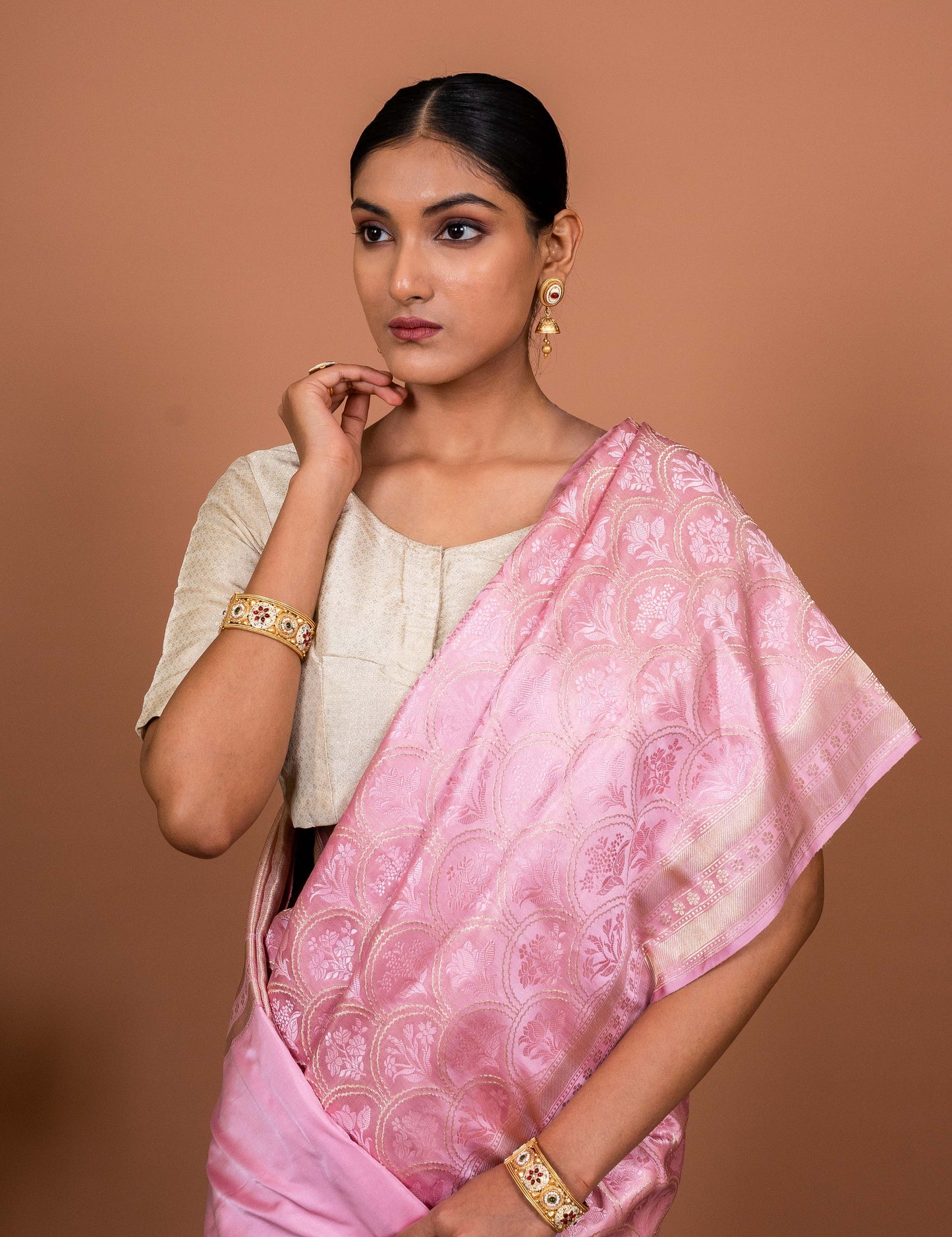 Bagh Tanchhoi Handwoven Banaras Saree