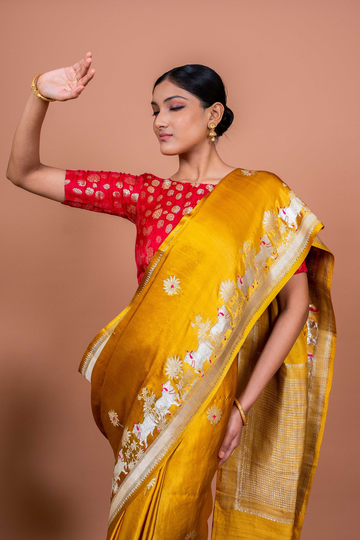 Nandi Handwoven Banaras Saree