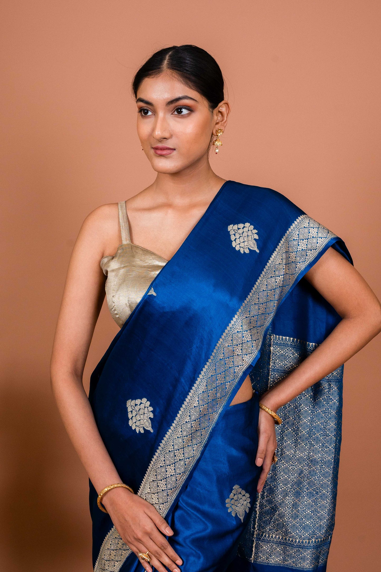 Tribhog Handwoven Banaras Saree