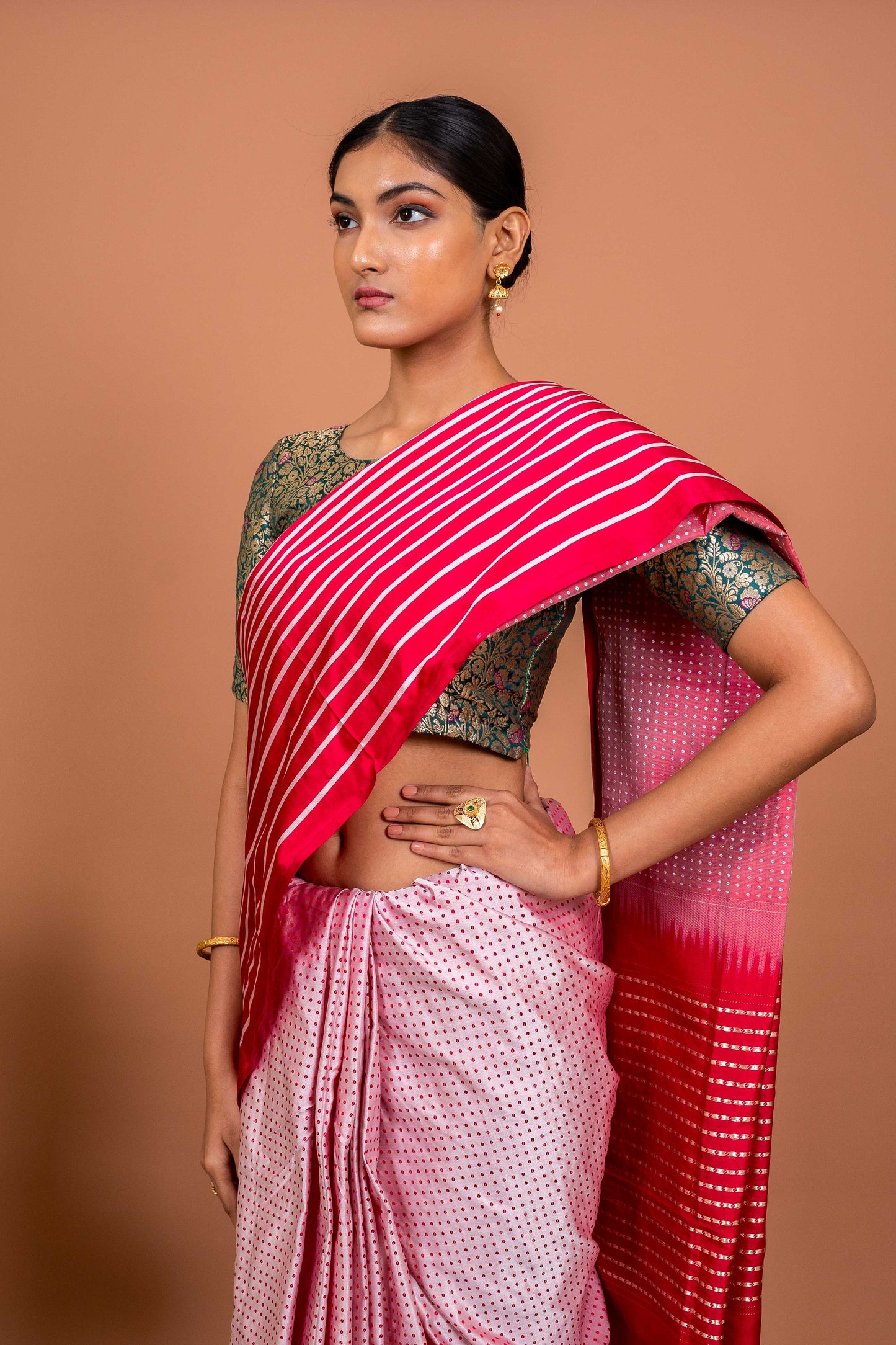 Dot and Stripes Handwoven Banaras Saree