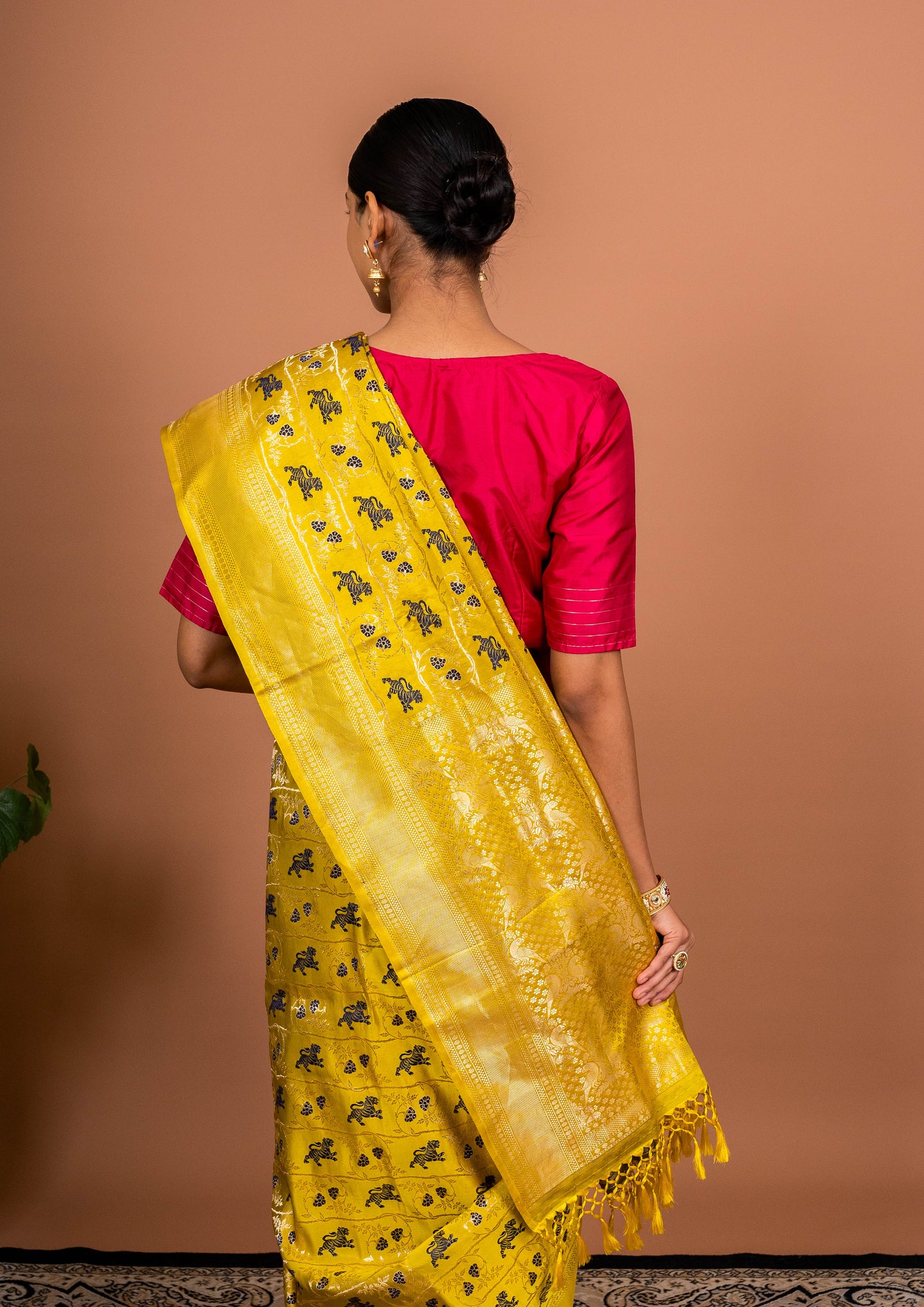 Shikagah Tanchhoi Handwoven Banaras Saree