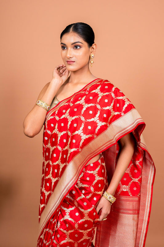 Charulata Handwoven Banaras Saree