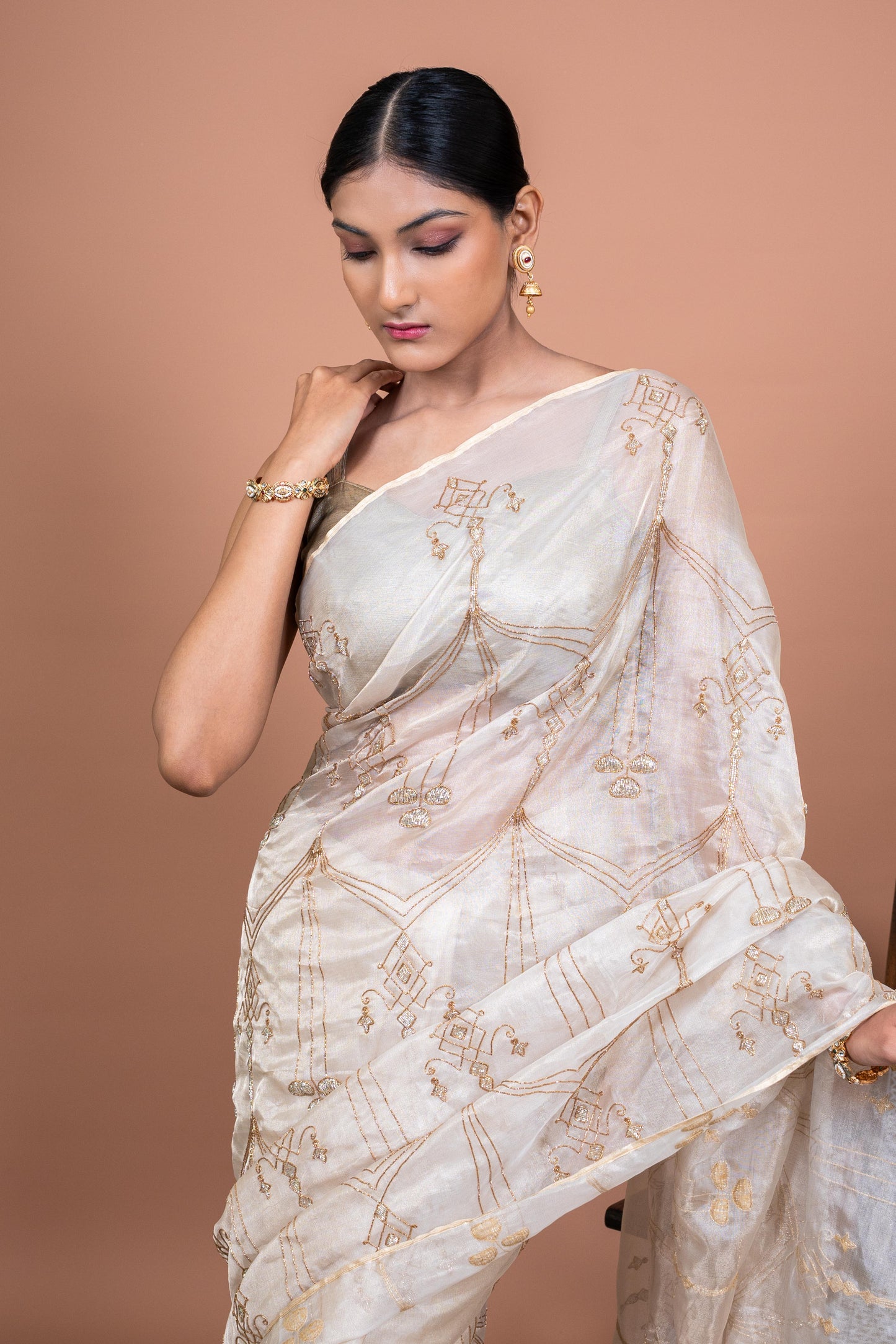 Vaani Handwoven Banaras Saree