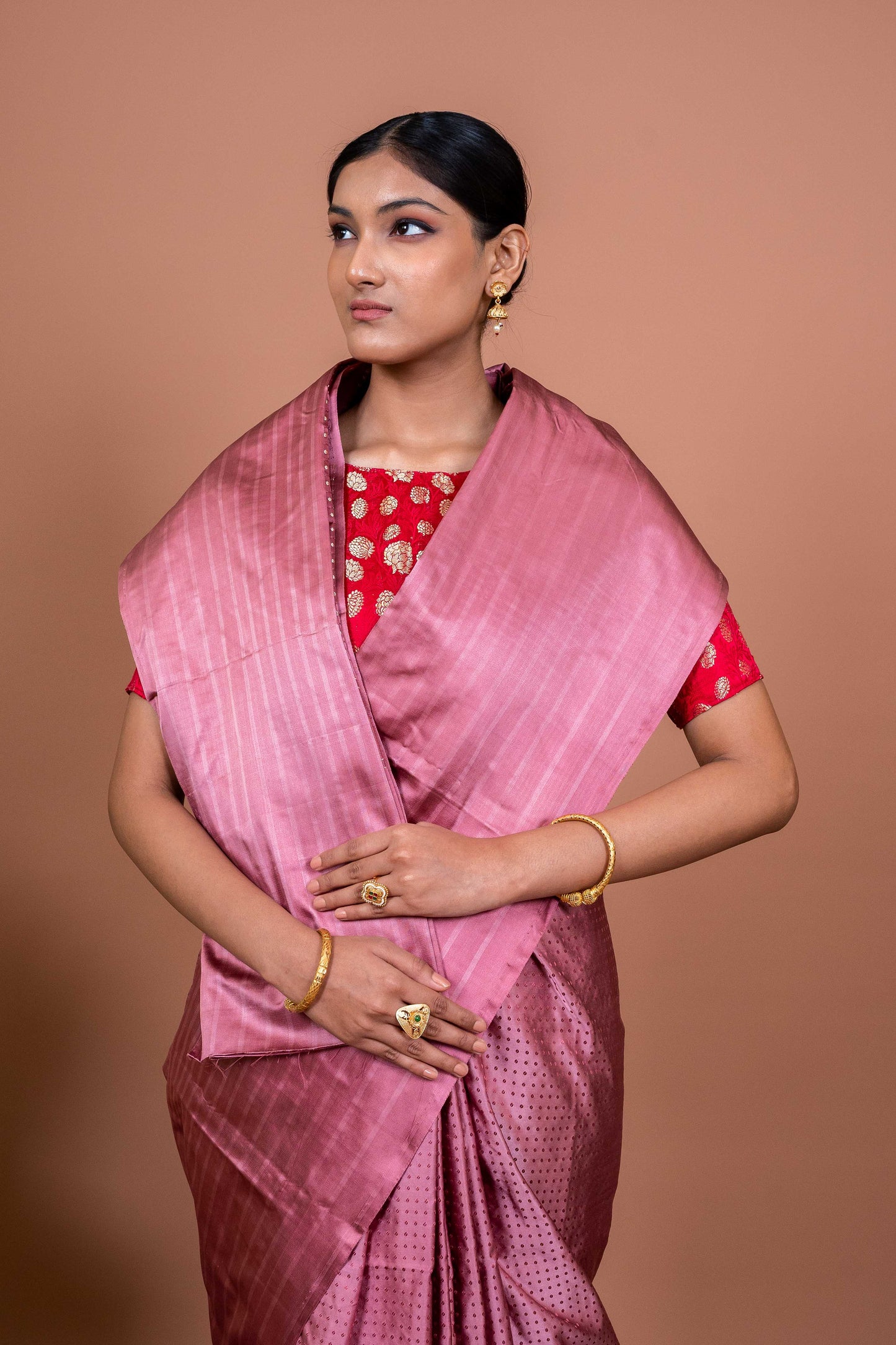Dot and Stripes Handwoven Banaras Saree
