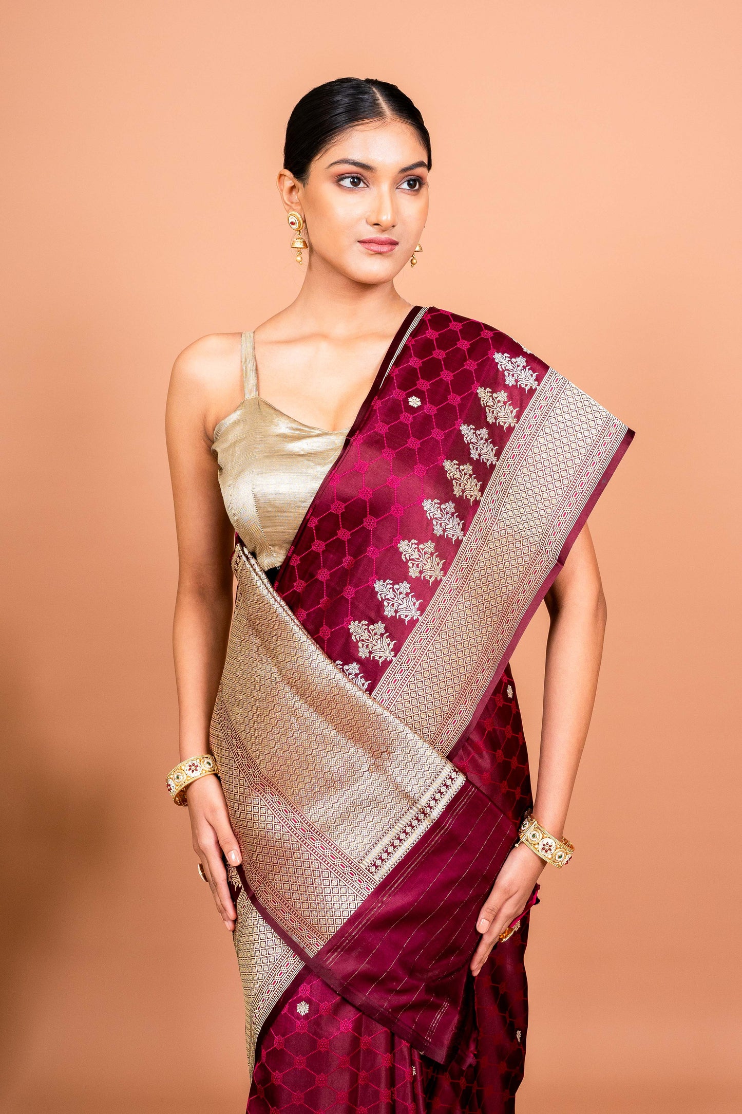 Naaz Handwoven Banaras Saree