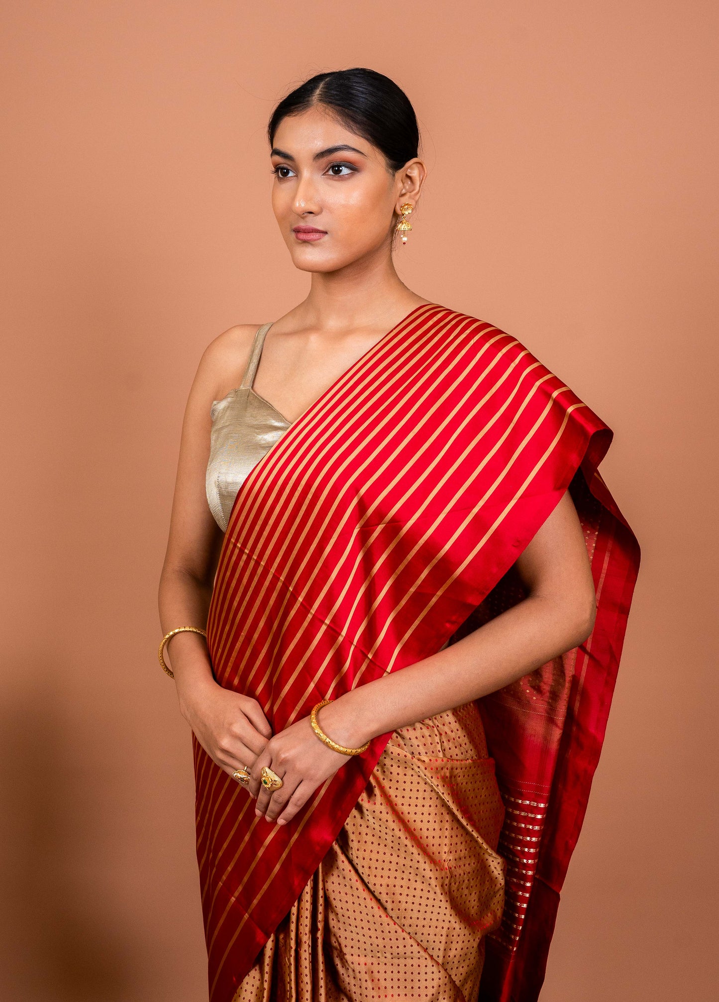 Dot and Stripes Handwoven Banaras Saree