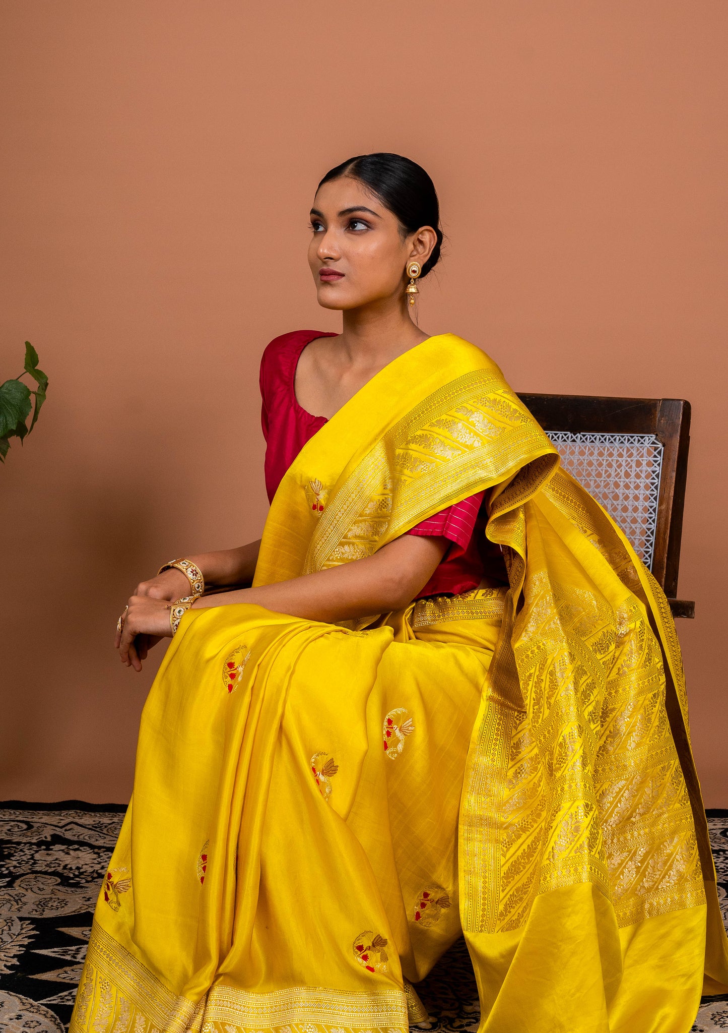 Kingfisher Handwoven Banaras Saree