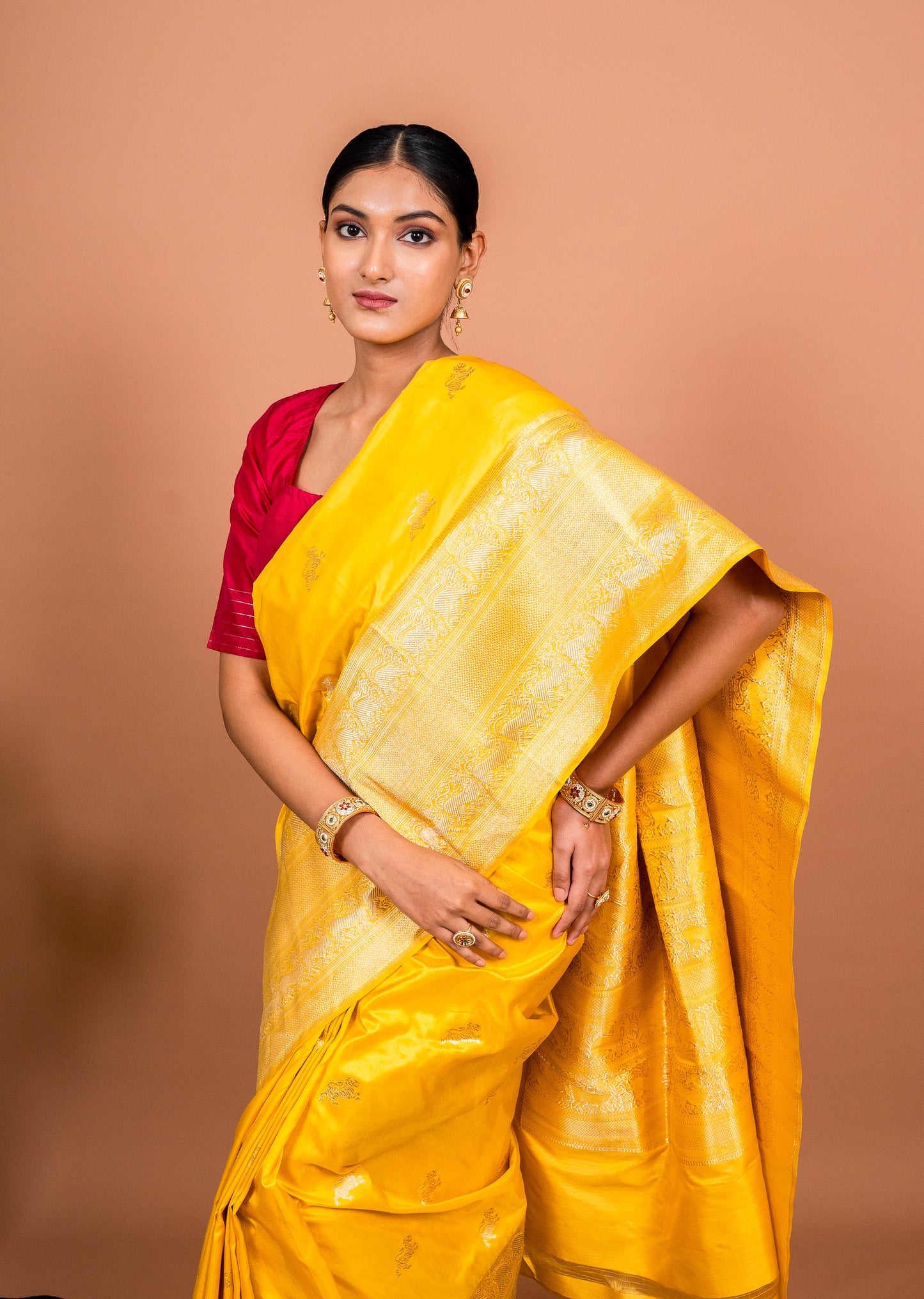 Kadhiyal Handwoven Banaras Saree